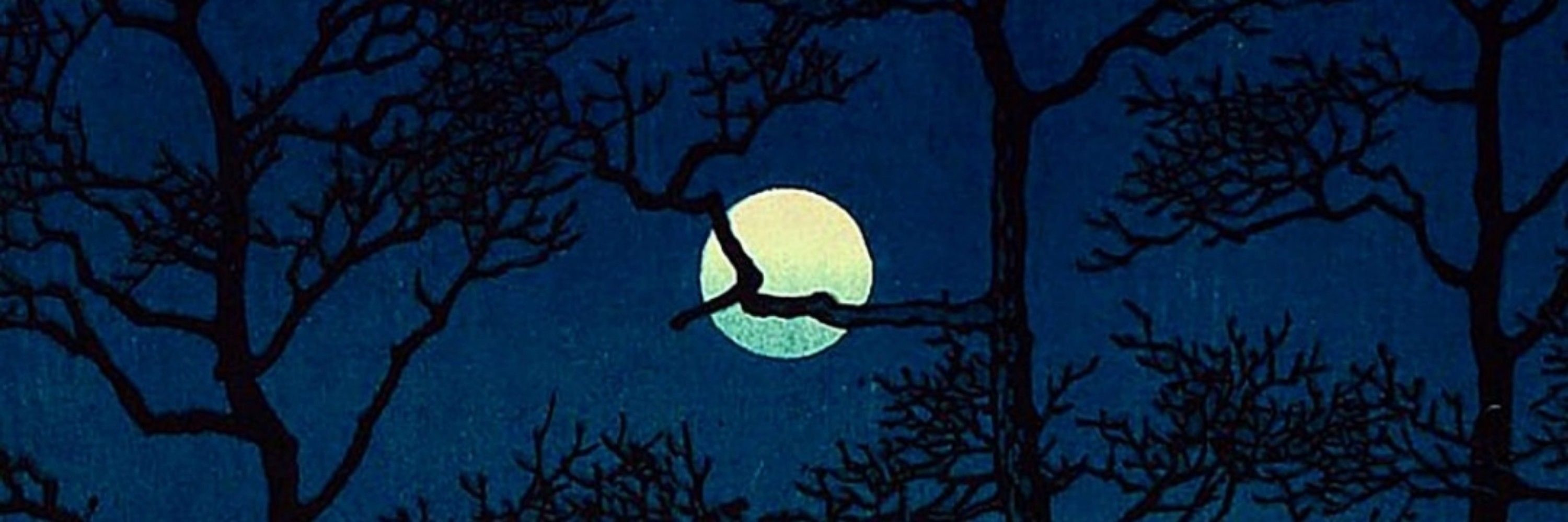 尾斗