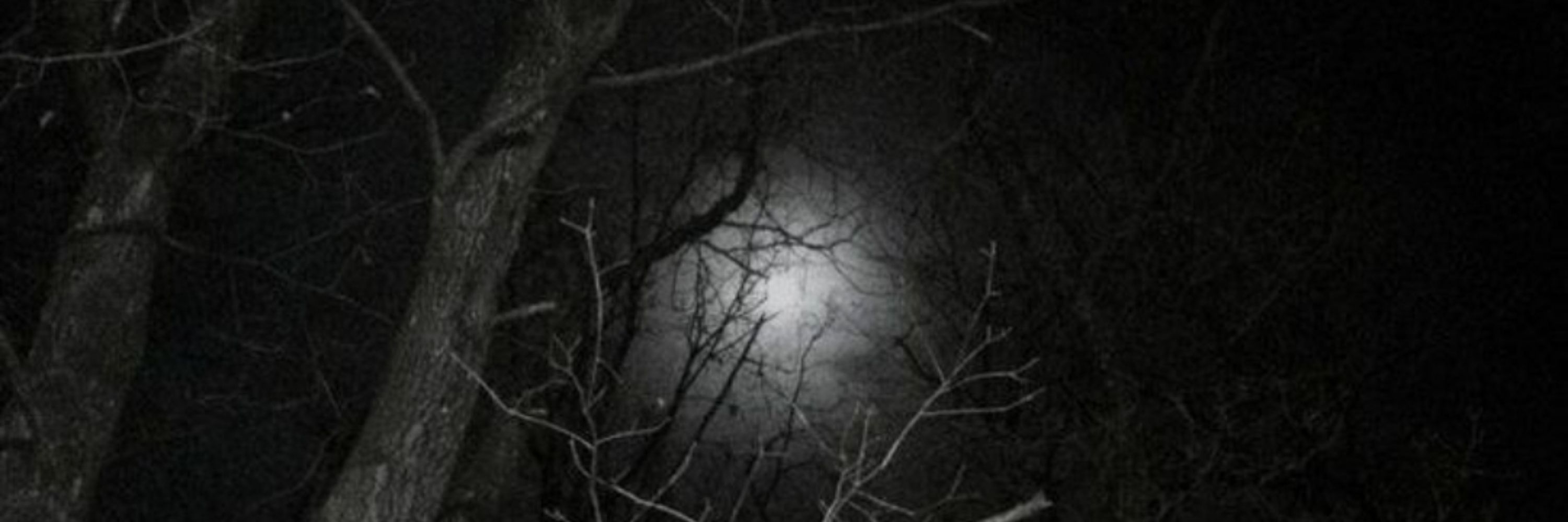 spooky zee