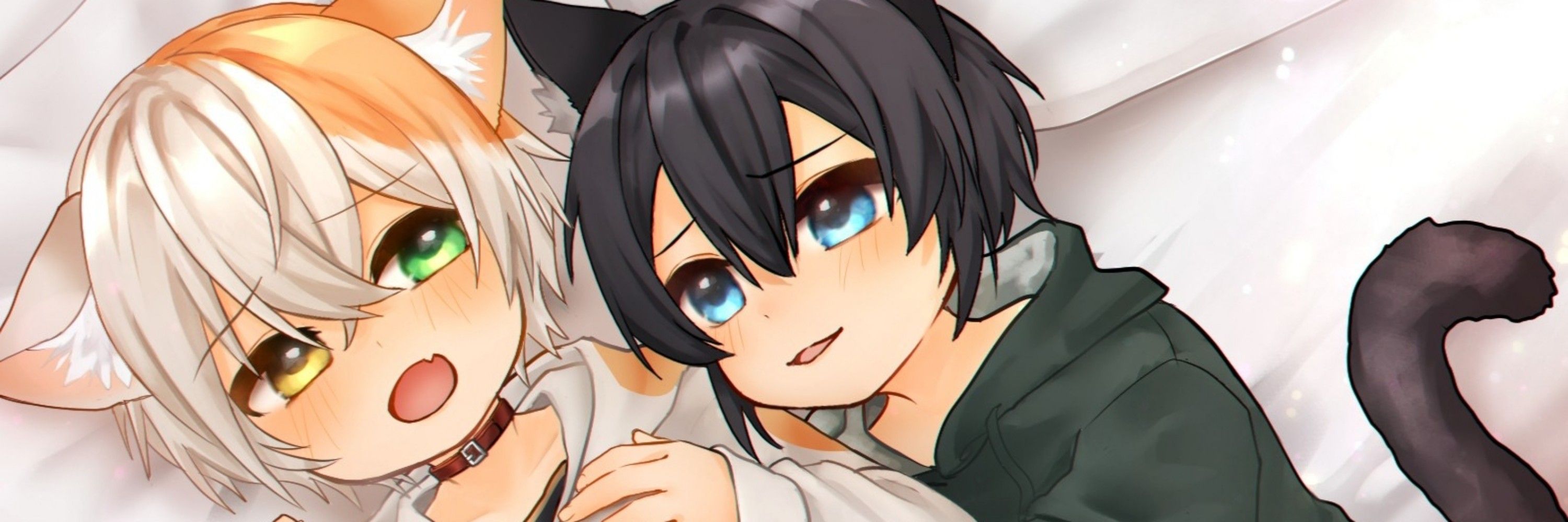 鈴矢 にゃんこ🐾🐾