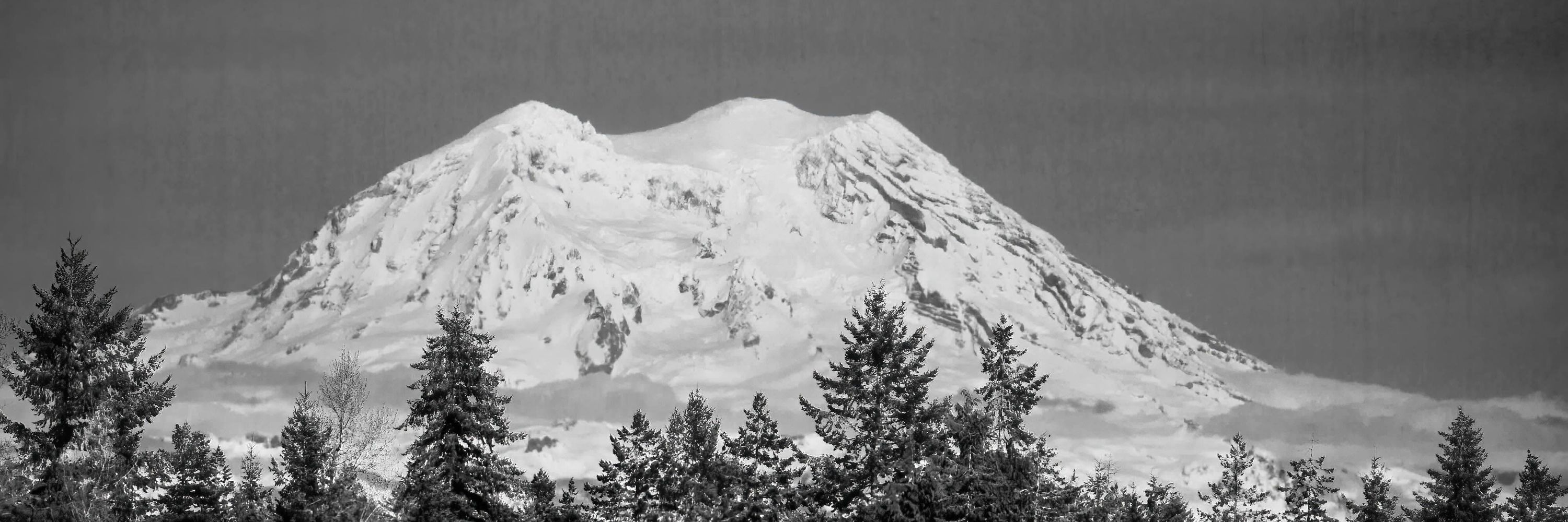 CarrieK.PNW