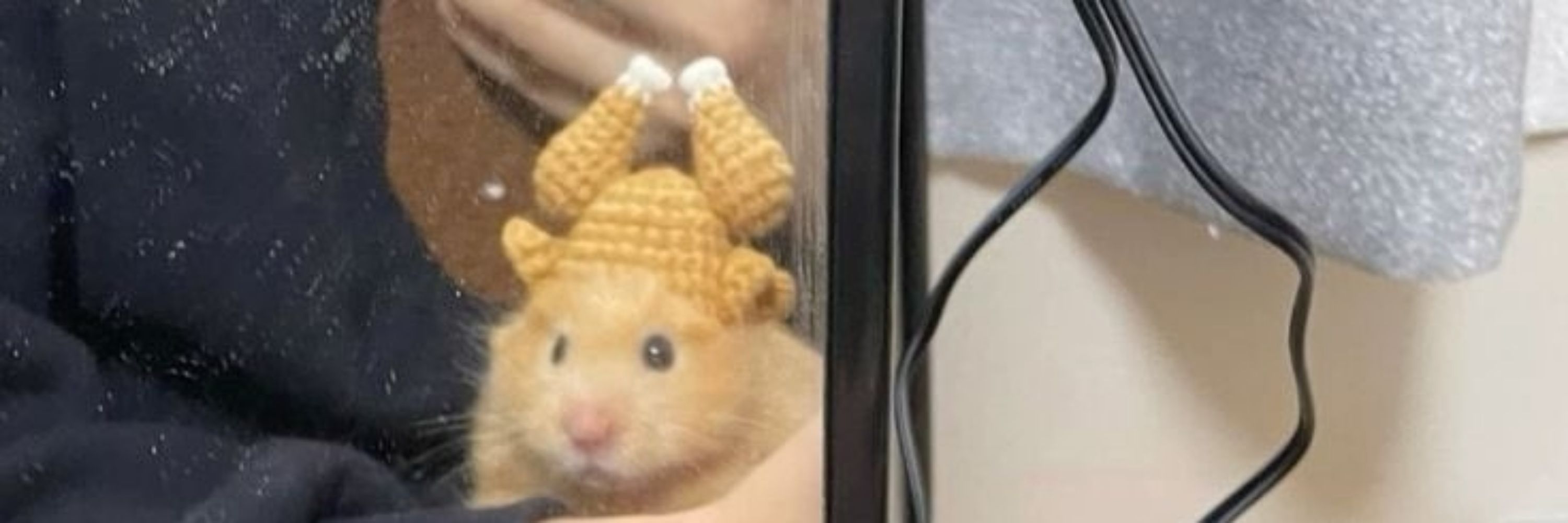 Tá