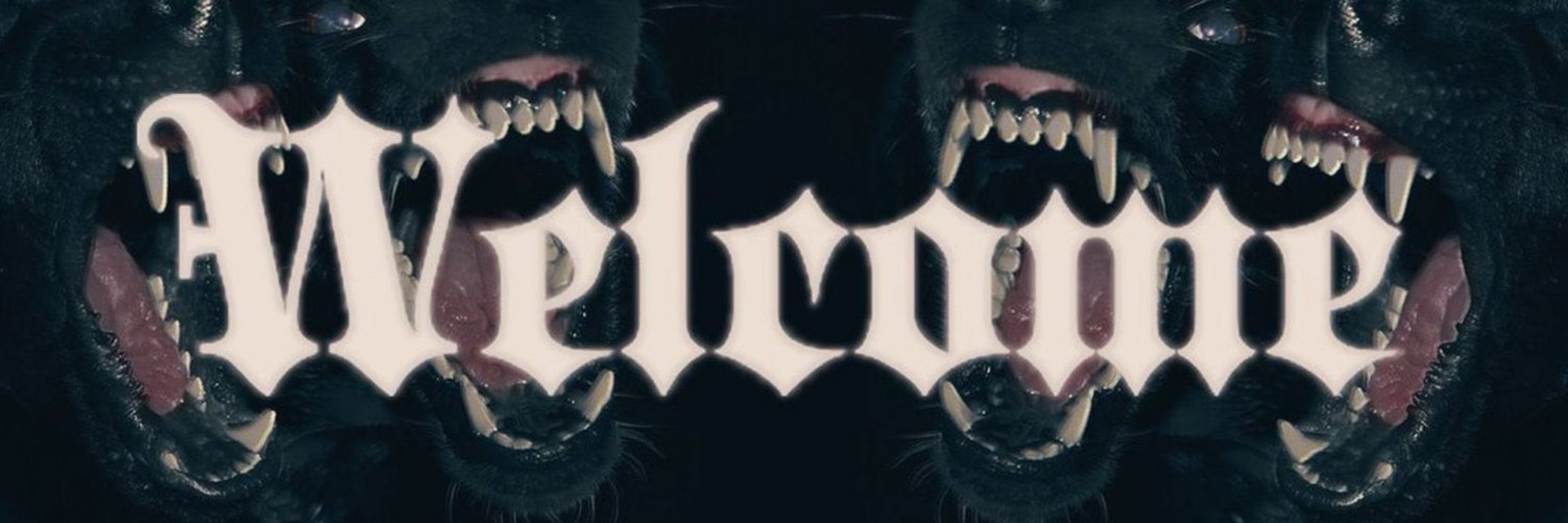 RexWolf🐾🦴🐺🔞