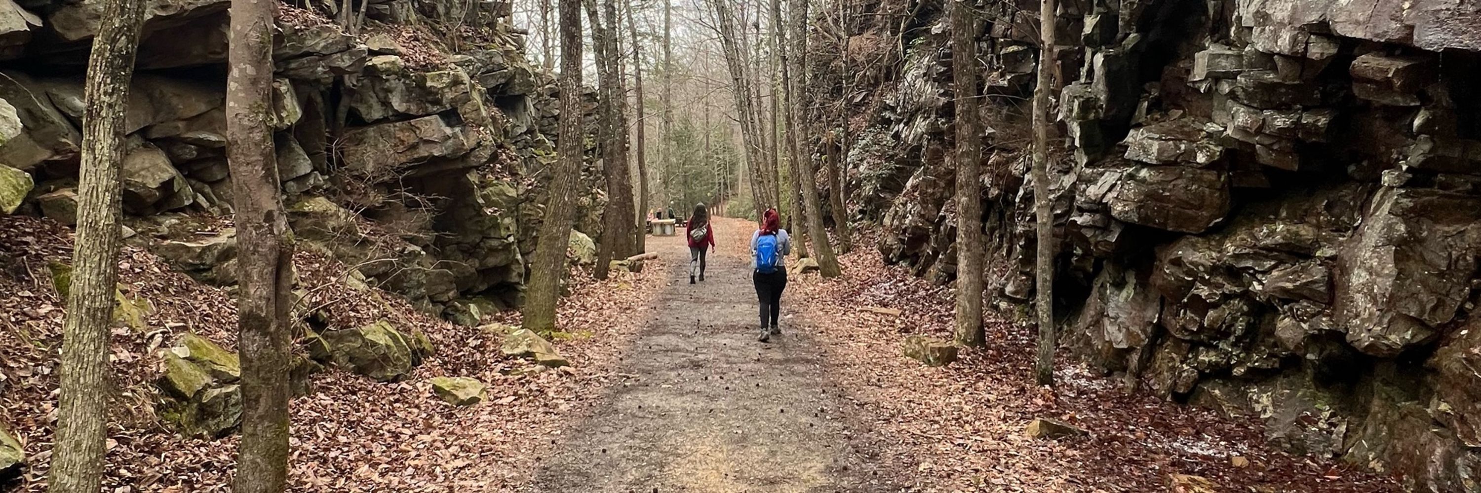 Tennessee Virago Hikers