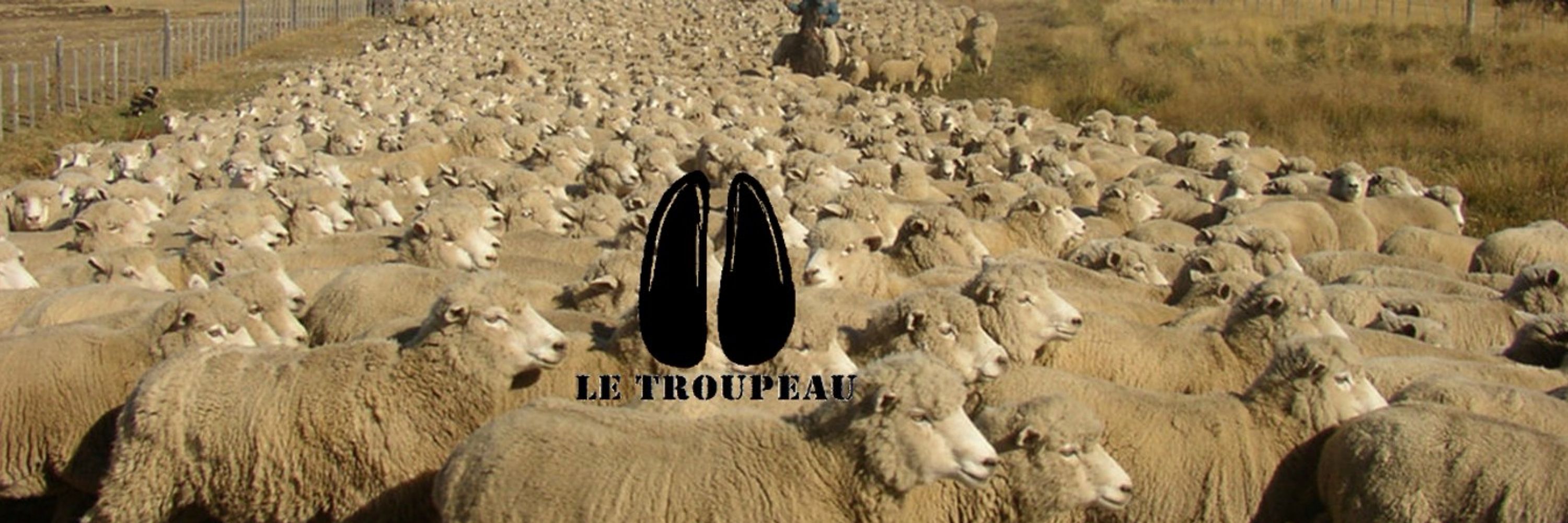Le Troupeau