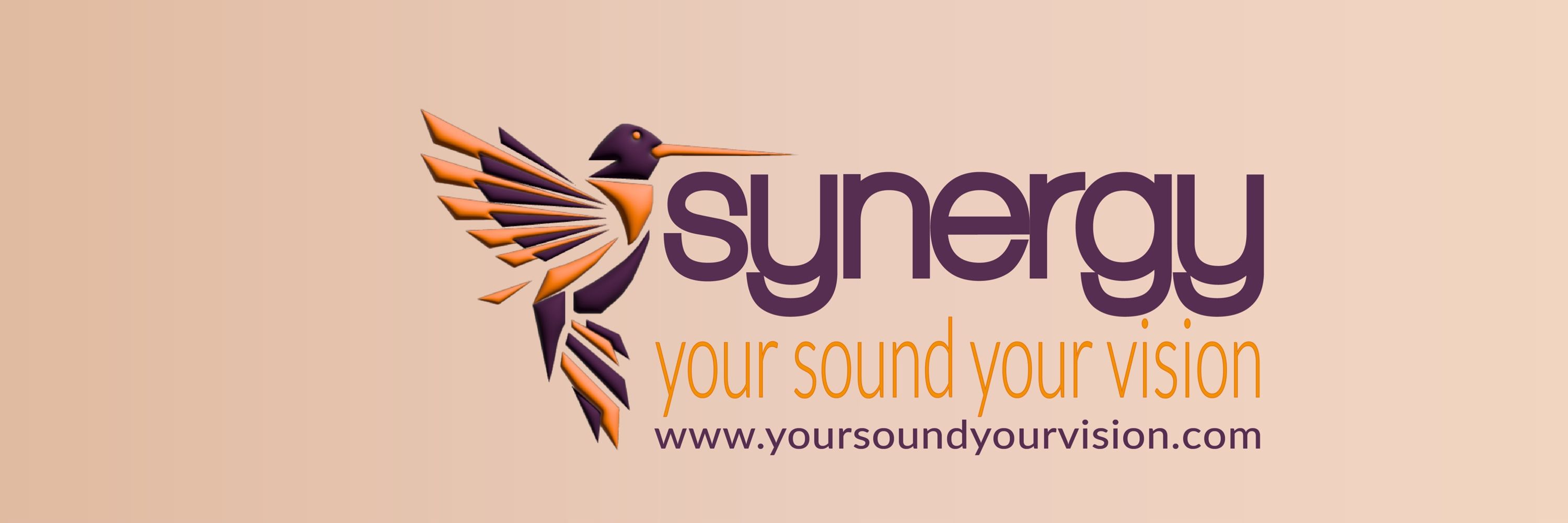 Synergy Your Sound Your Vision