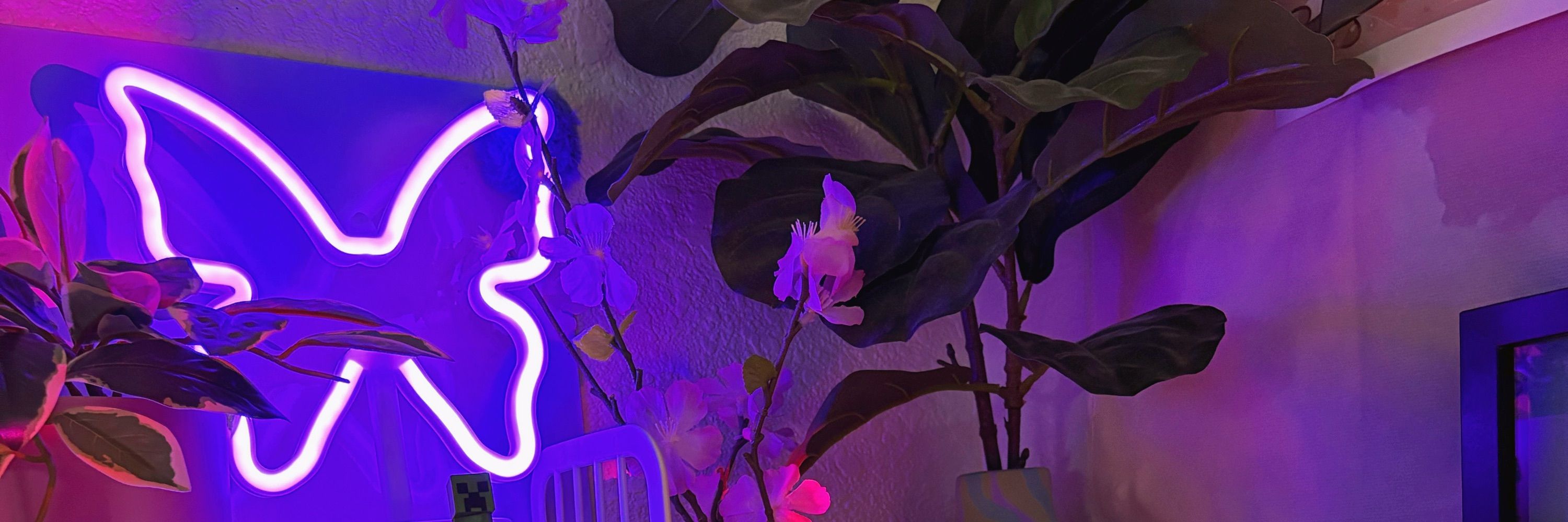 PlanetxEuphoria Streams💓✨