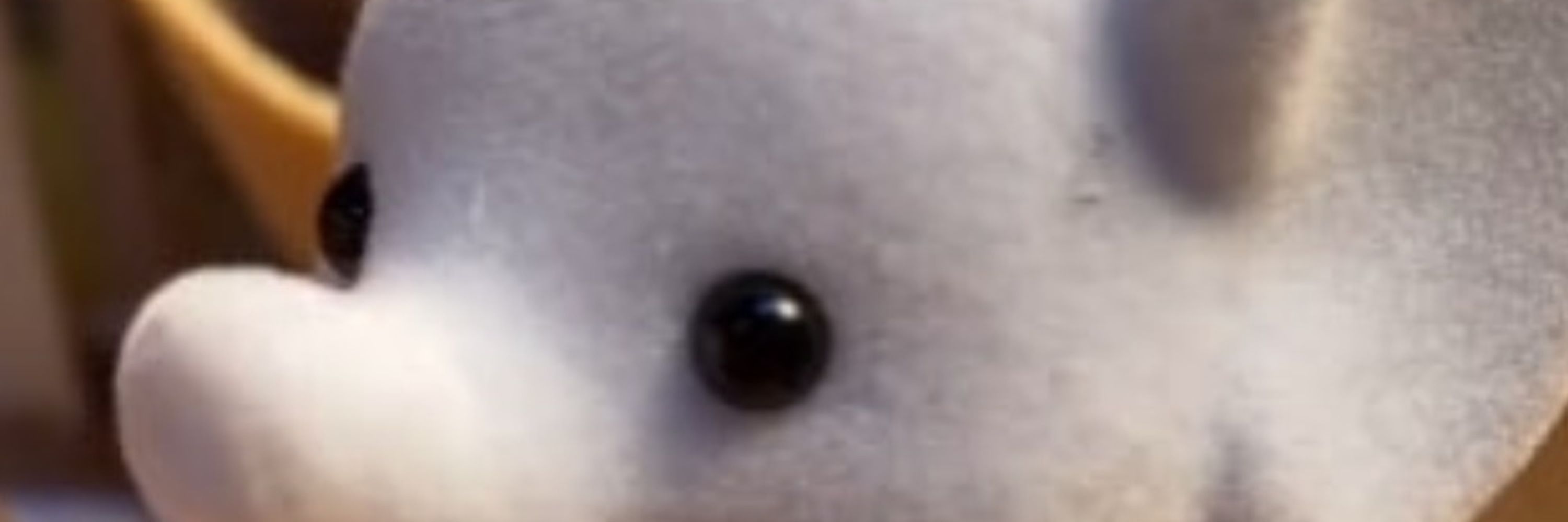 Ditsu