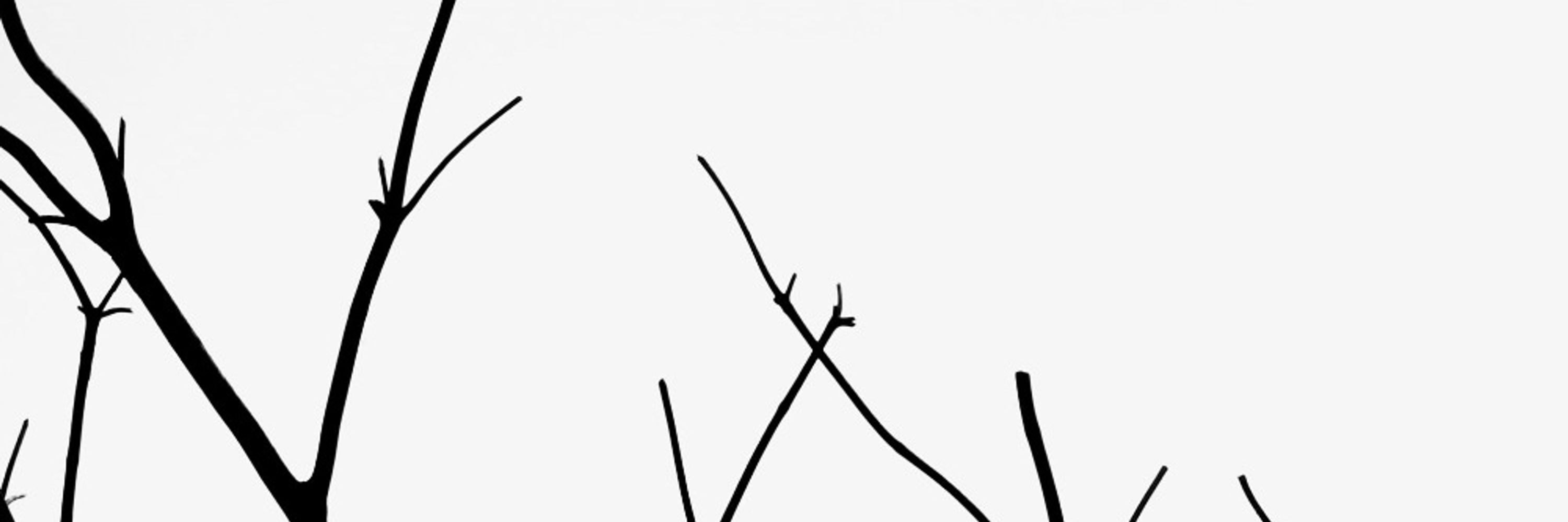 Patch NSFW | 18+ 🔞