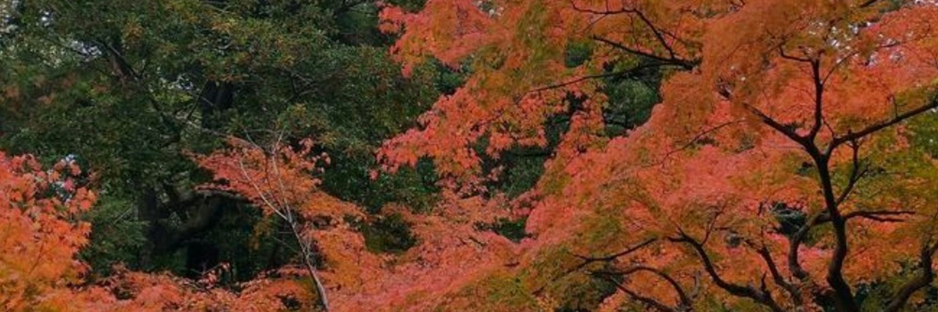 たばねは（空冷式）