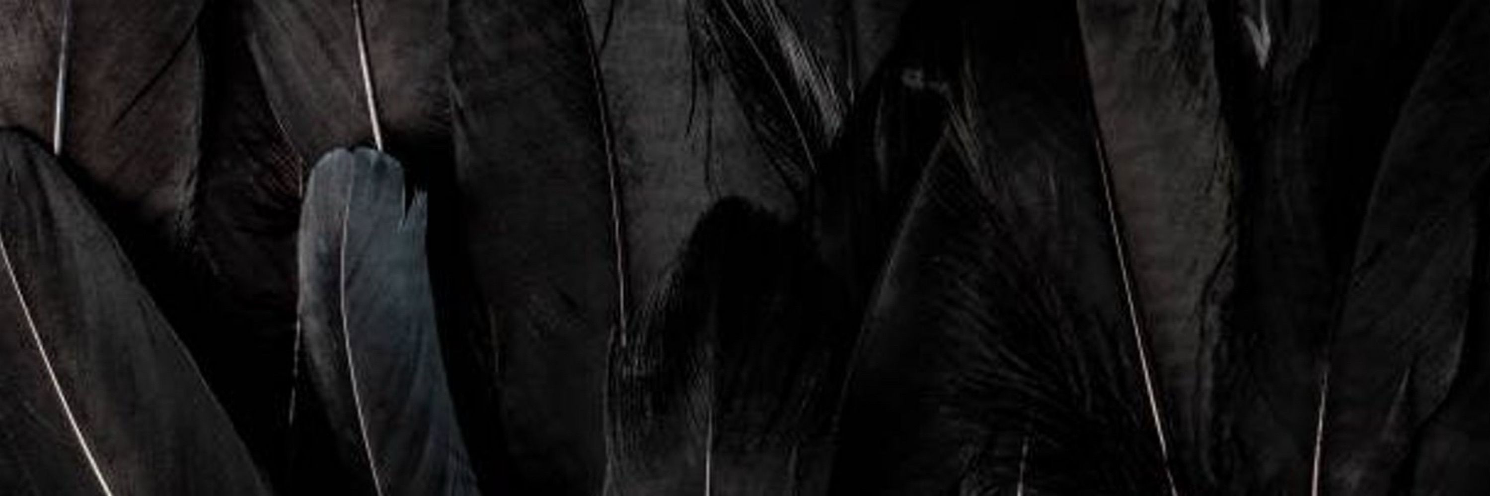 Vax’ildan of the Air Ashari
