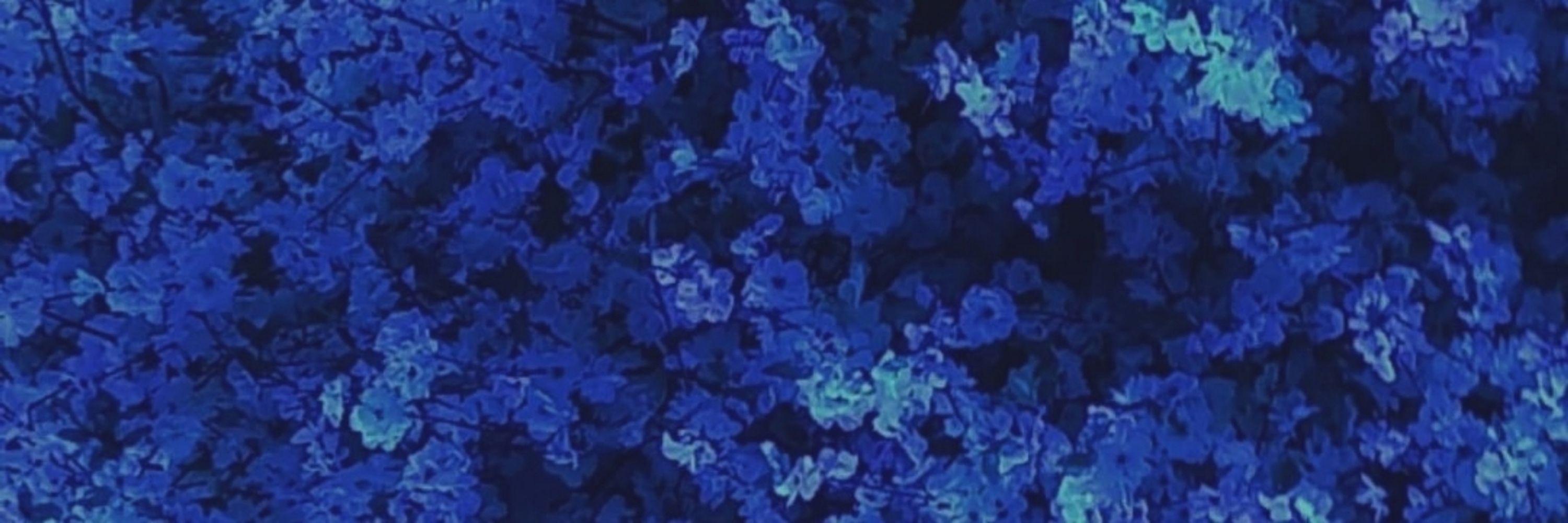 𝑪𝒍𝒂𝒓𝒂