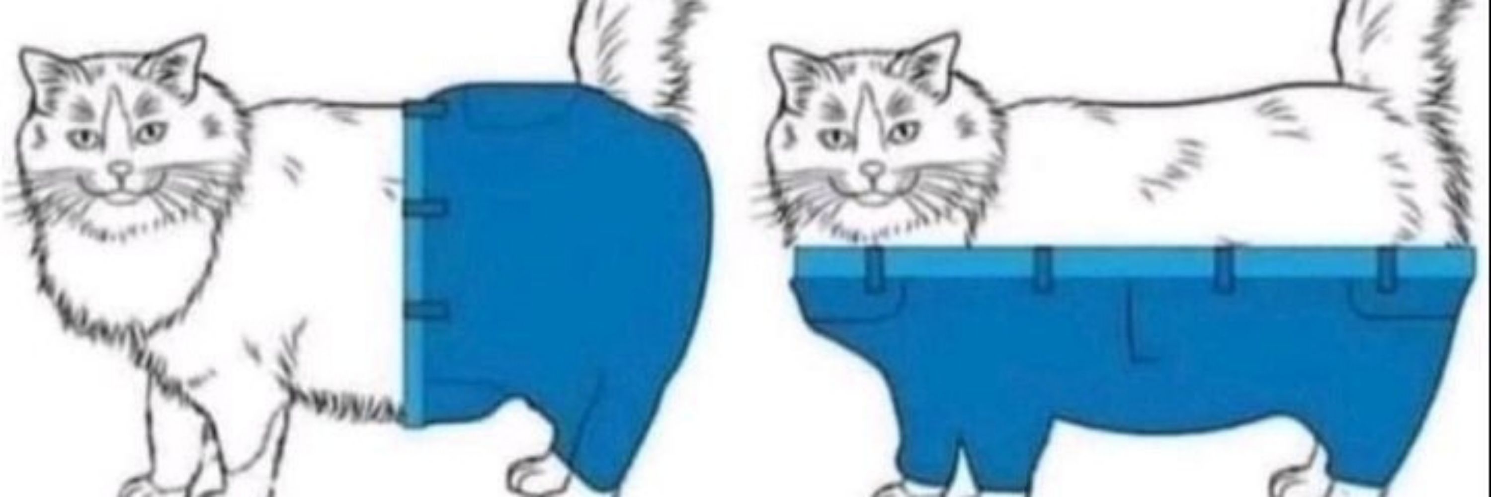 melon📛