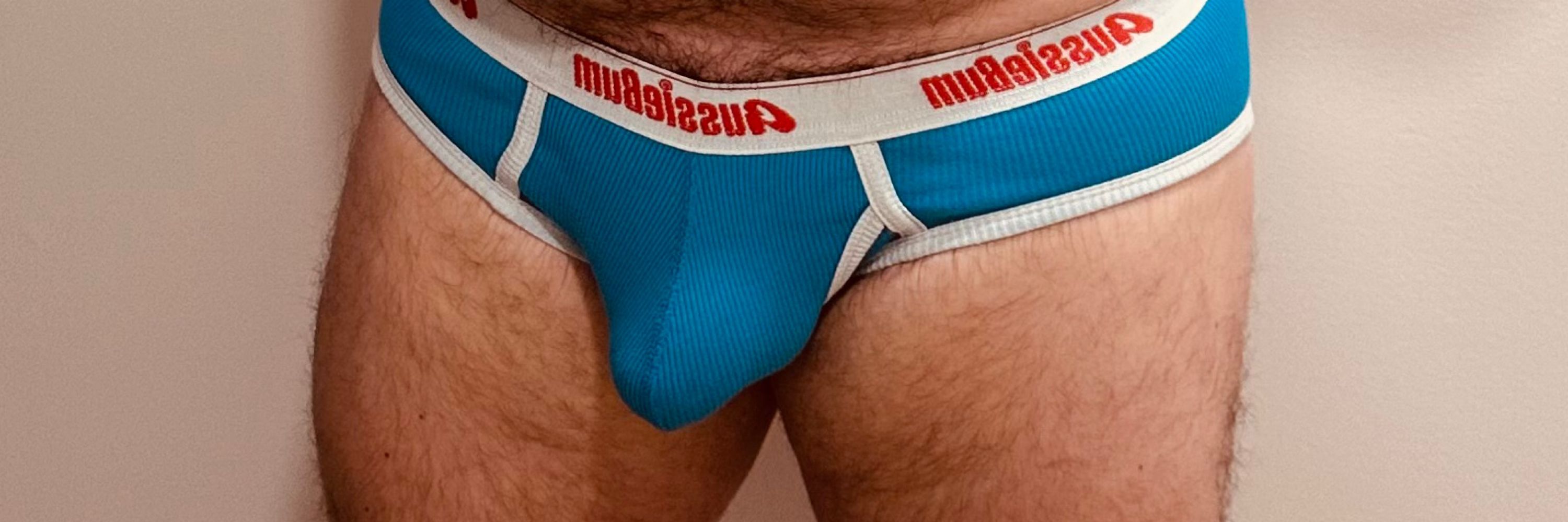 BriefBear