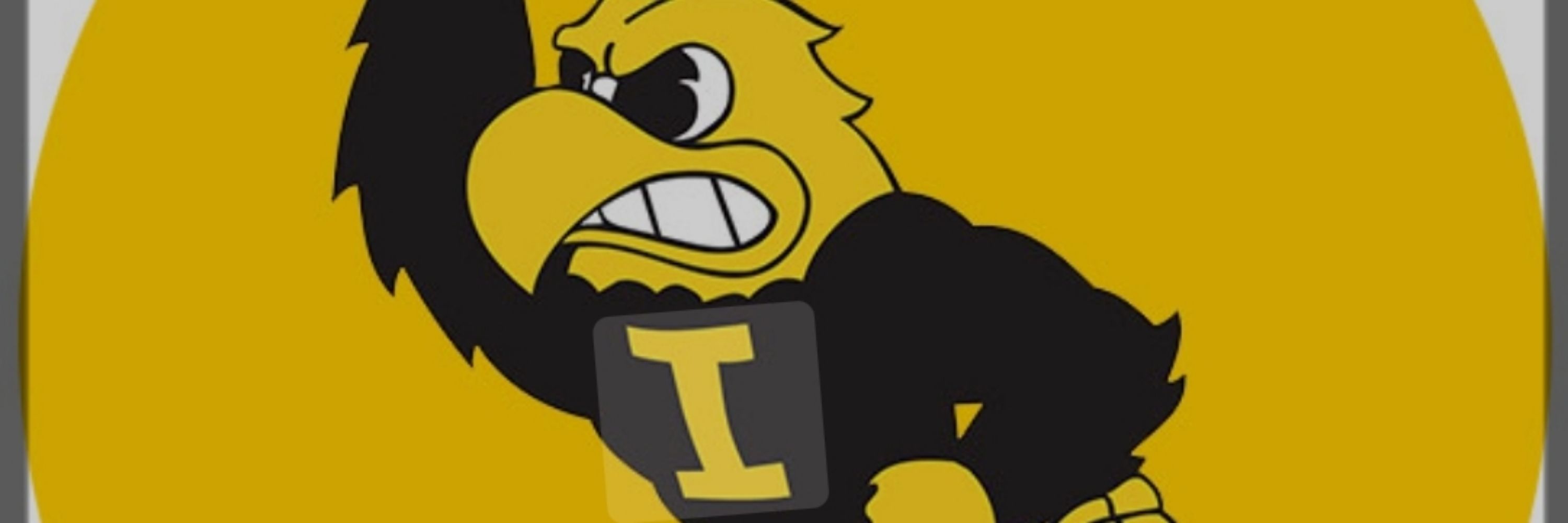 MsCurt10
