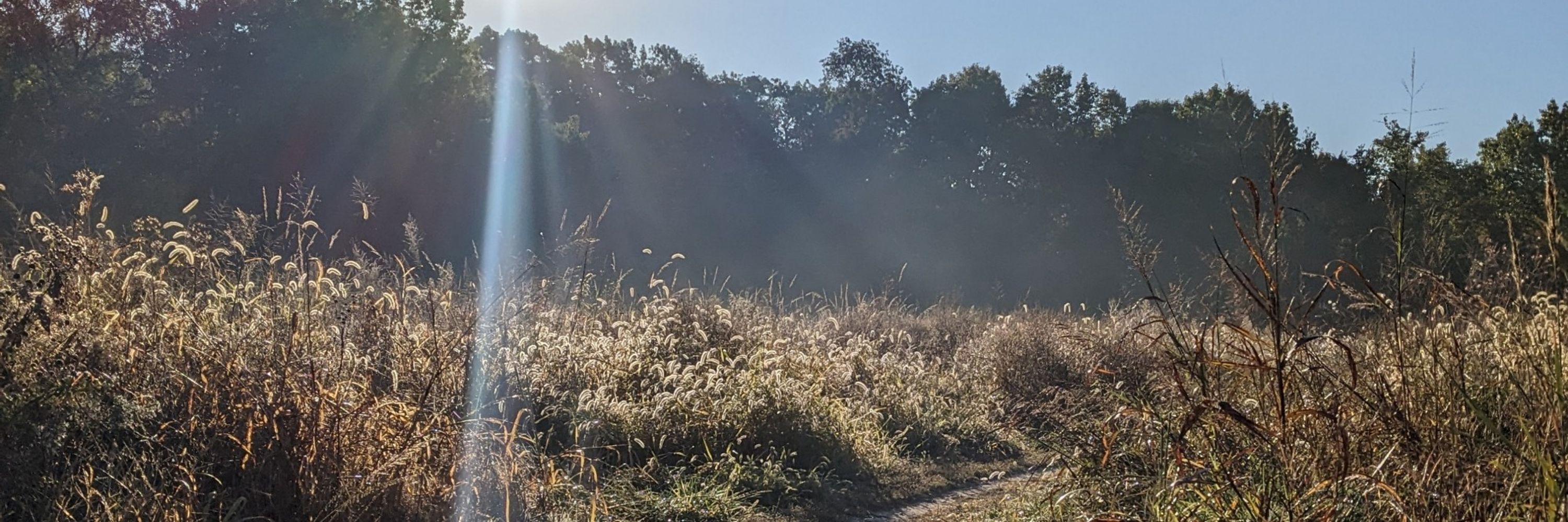 jo🌾✨