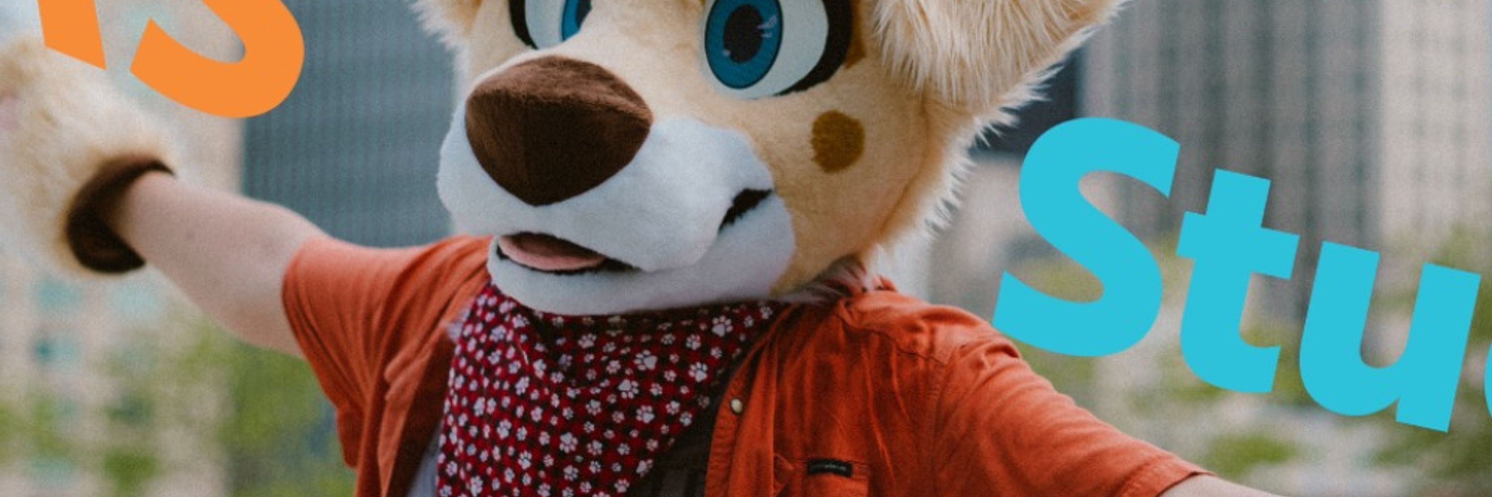 Biscuit The Corgi