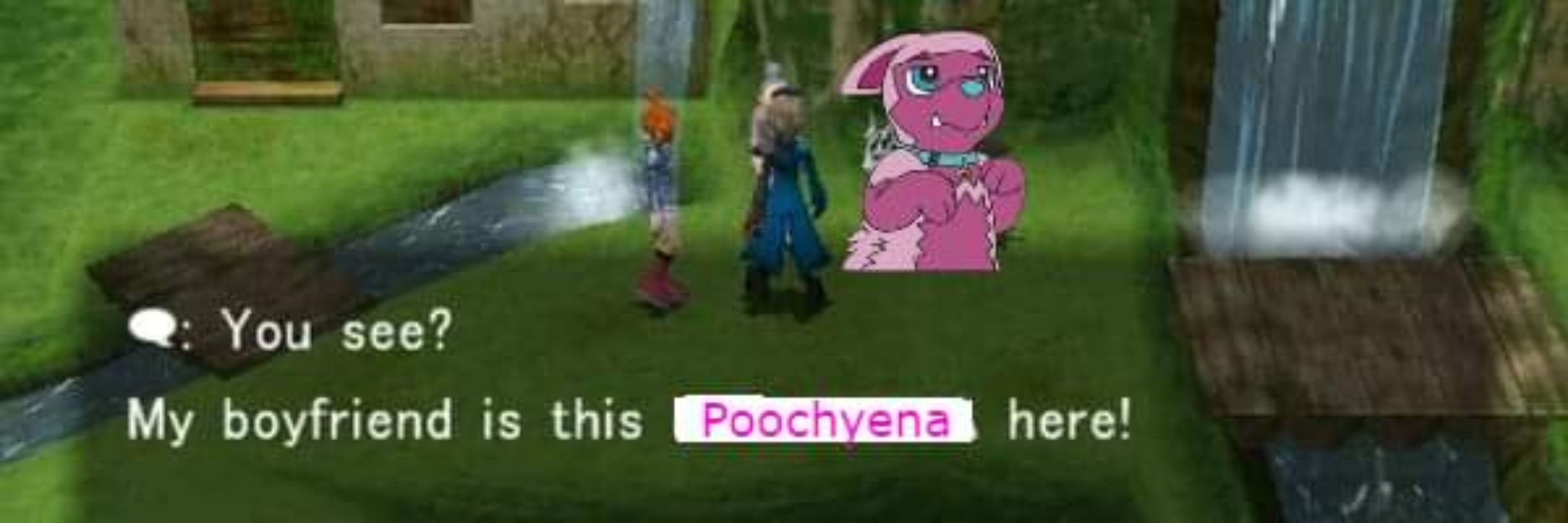 Russo the Poochyena