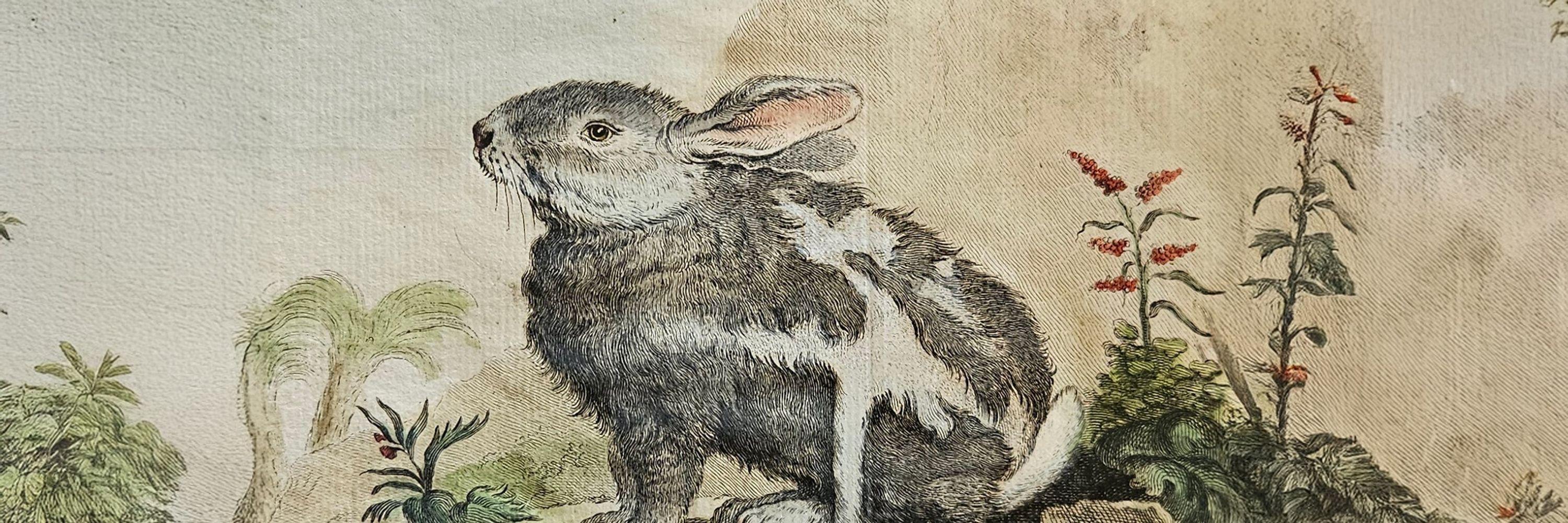 Thomas Chaignaud 🐇