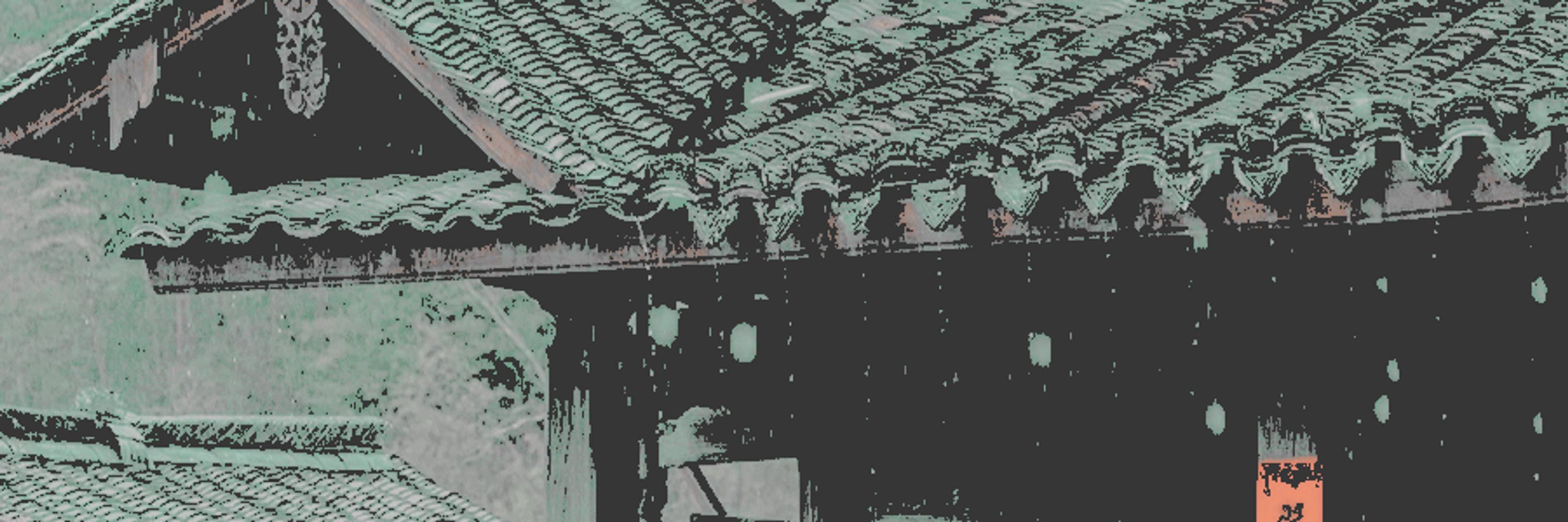 ⠀⠀⠀ ✱ ⠀⠀ 懸壺座.   🌿