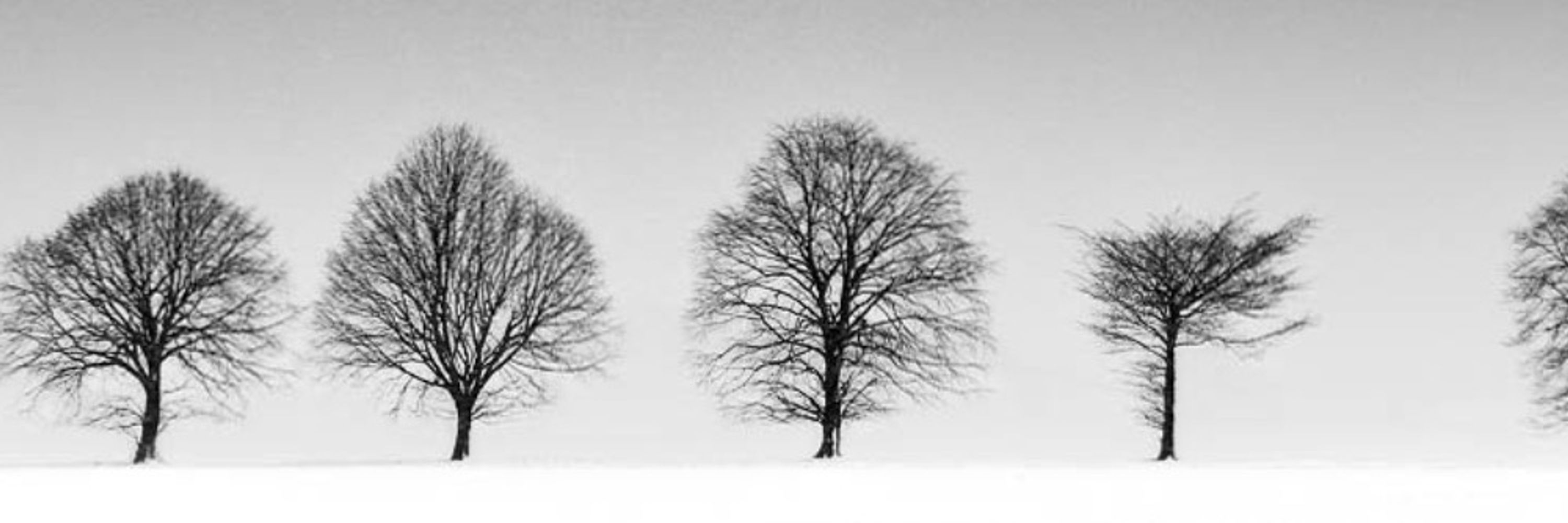 Jonathan Edward
