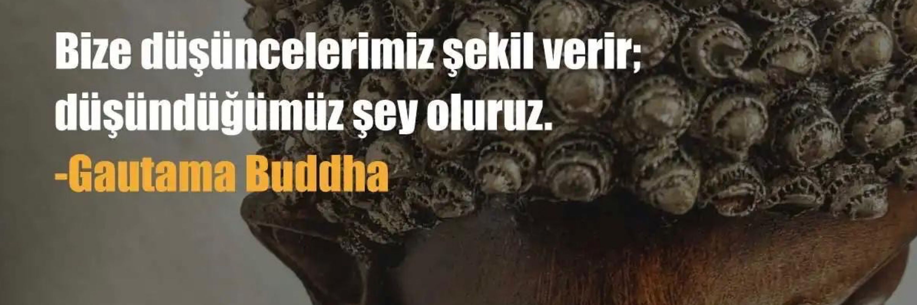 Fundagül Demirkol