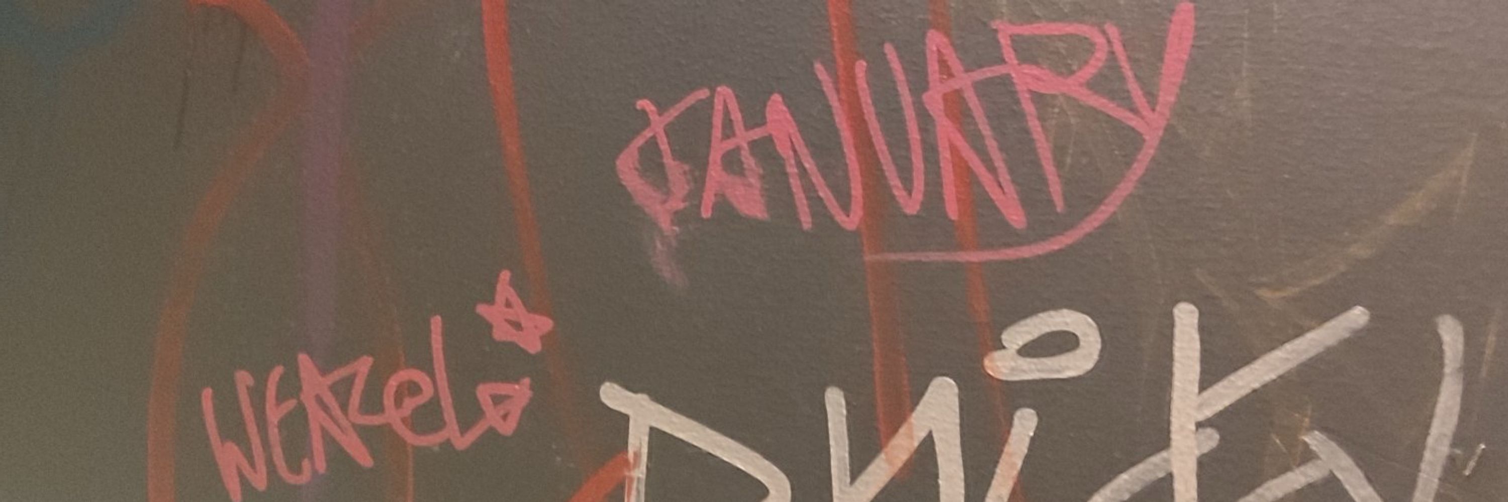 jan, january, executioner