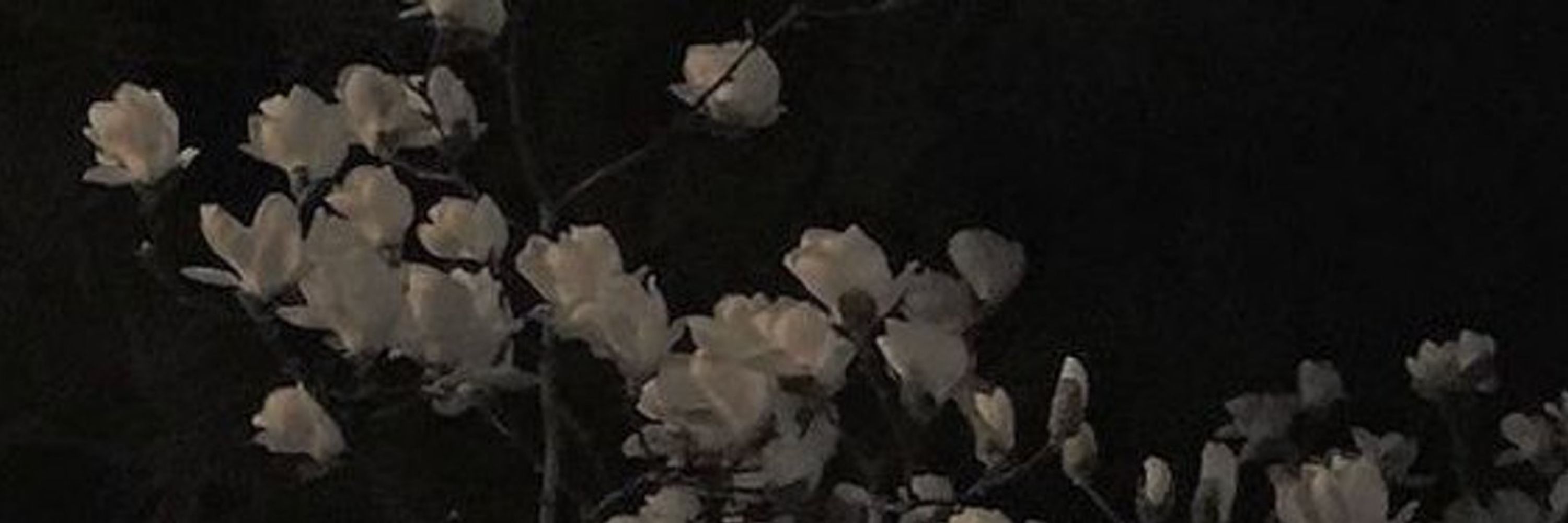𝑗𝑎𝑛𝑒 𝑔𝑎𝑡𝑠𝑏𝑦