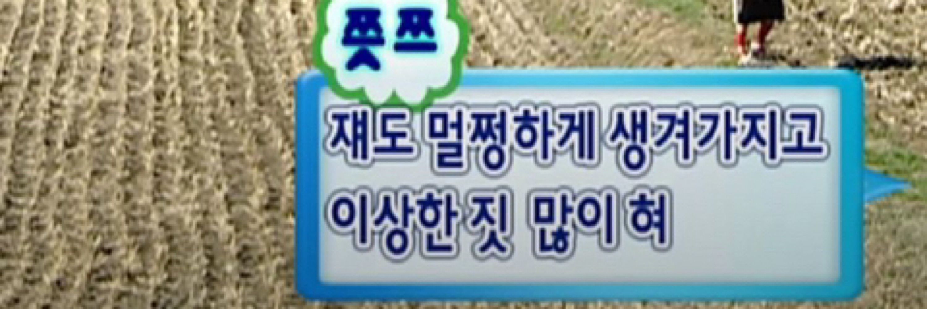 다능쓰