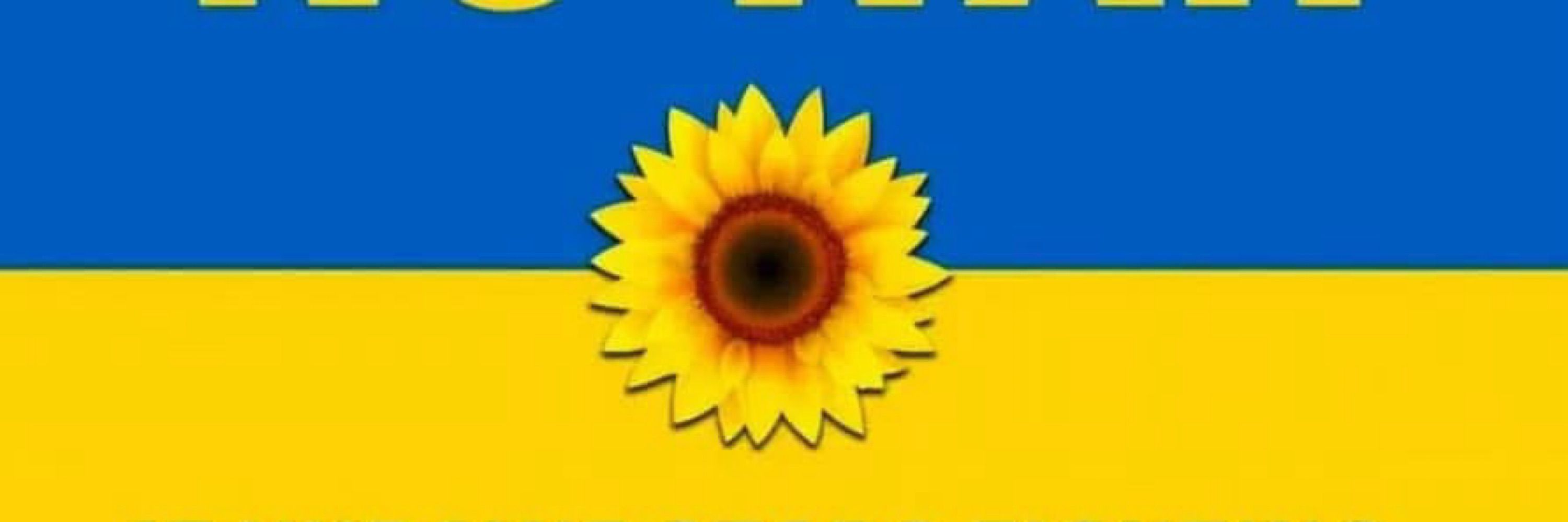 🌻 Drunemeton 🐧