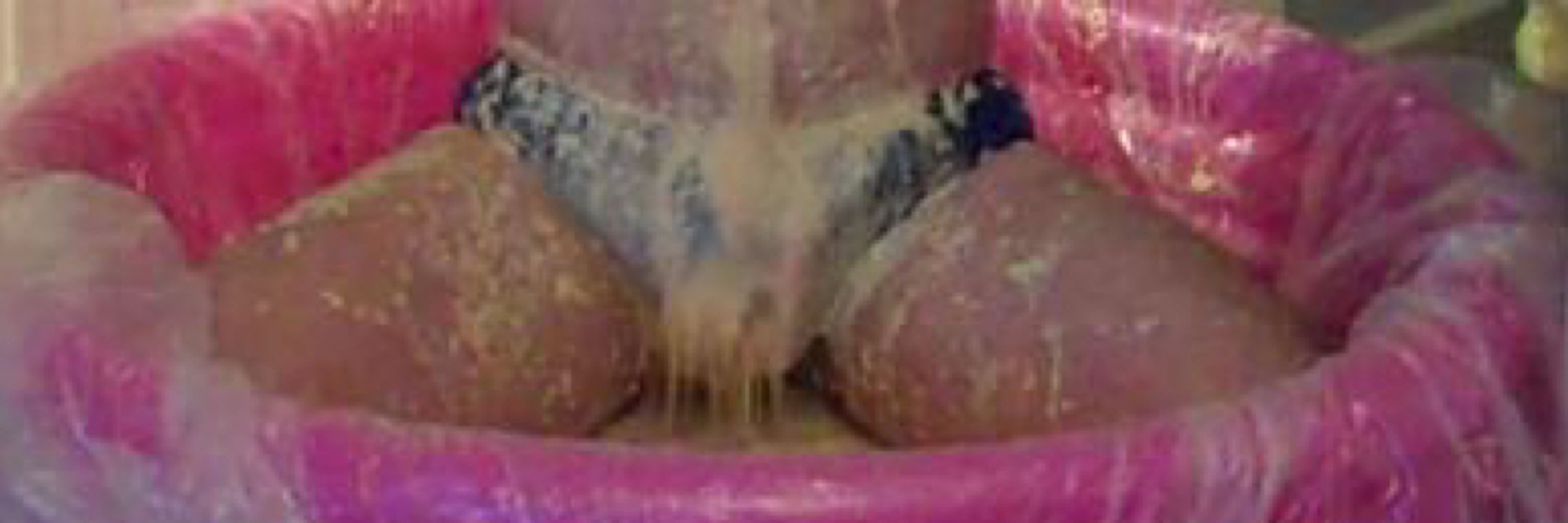 Speedoandgunge