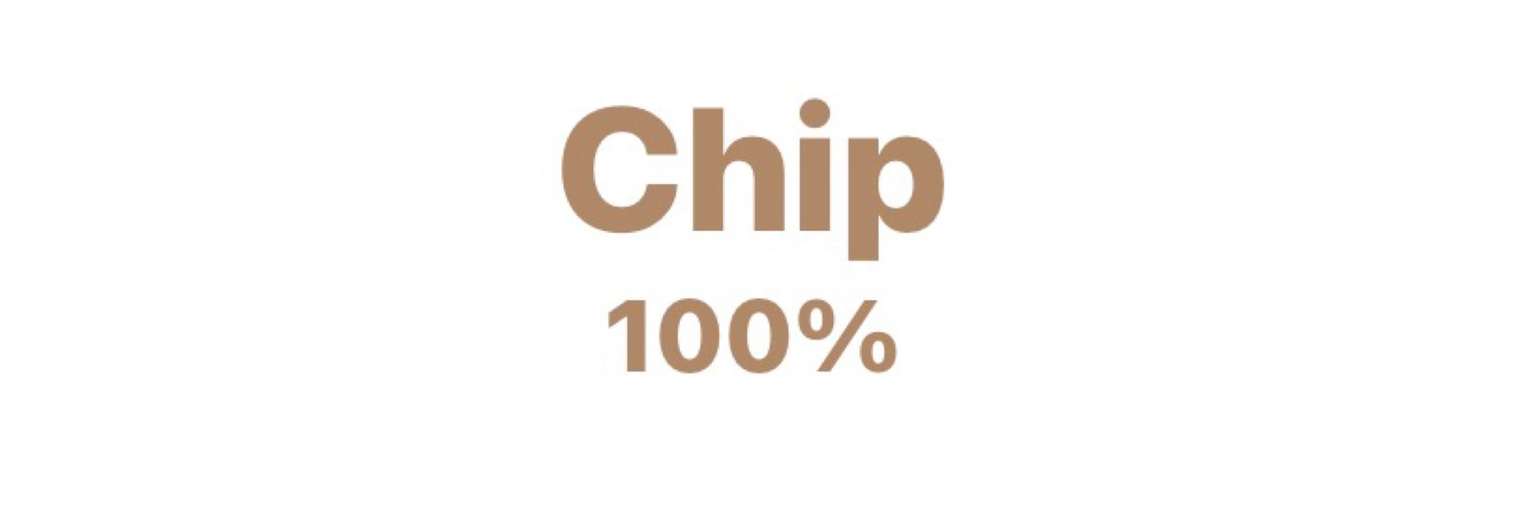 chip