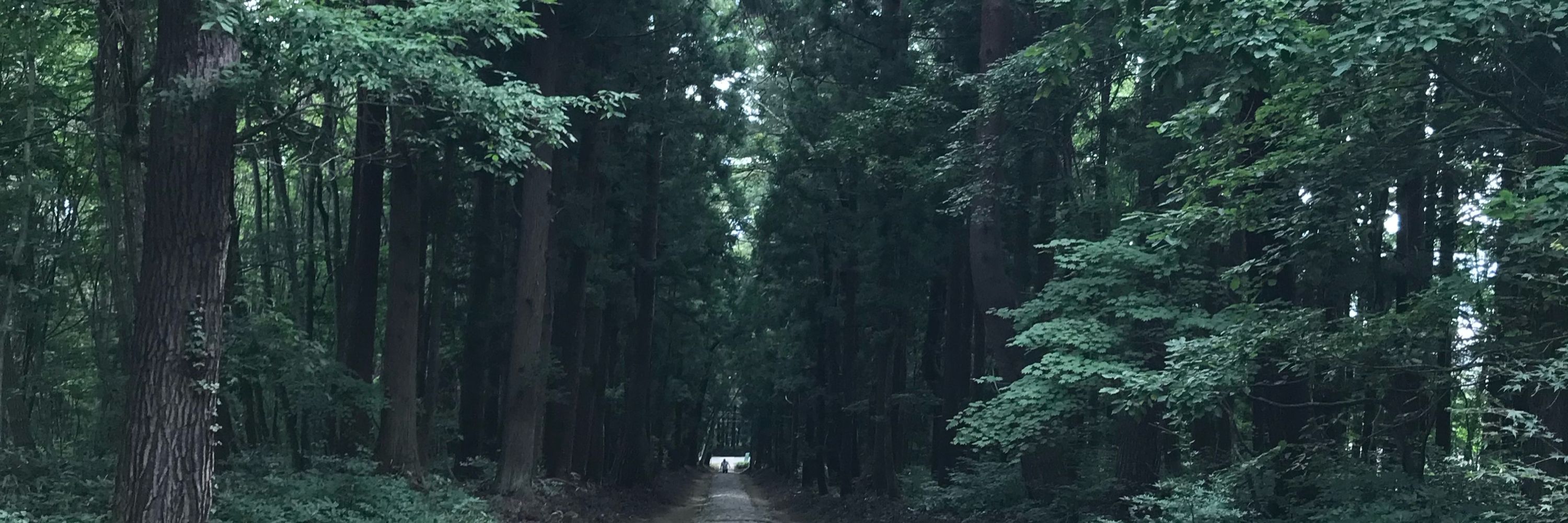 さあや