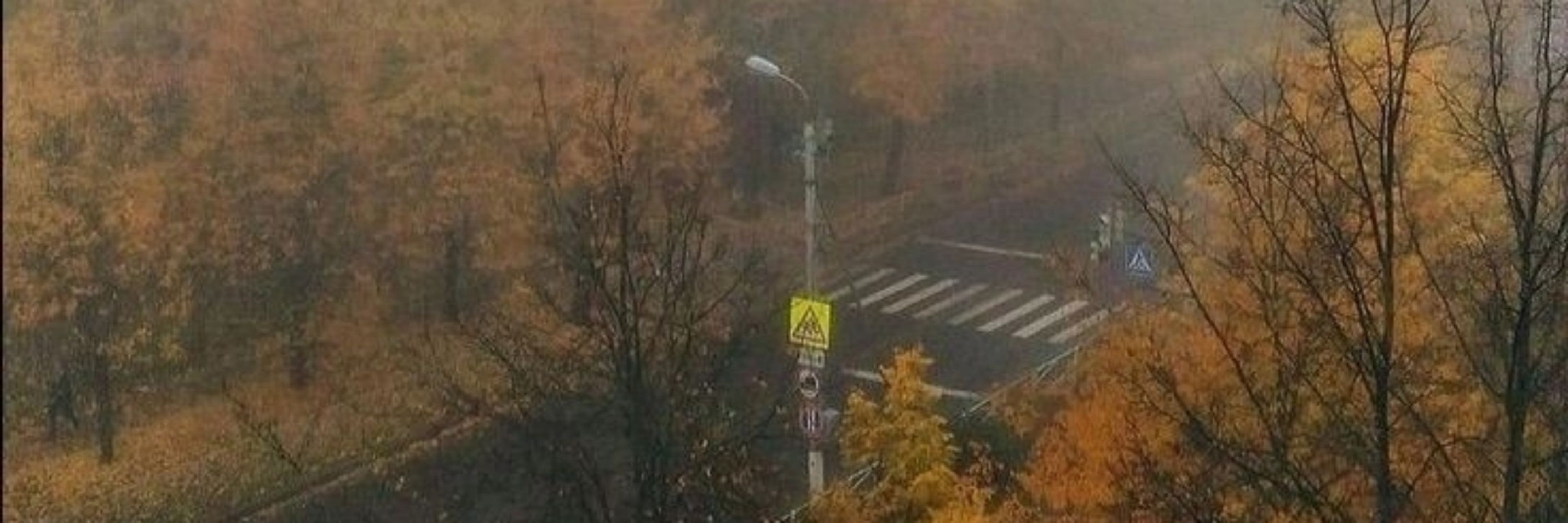 Салат 