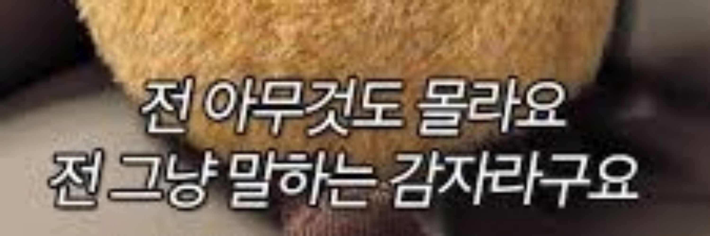 연못에서 도망친 연🪷