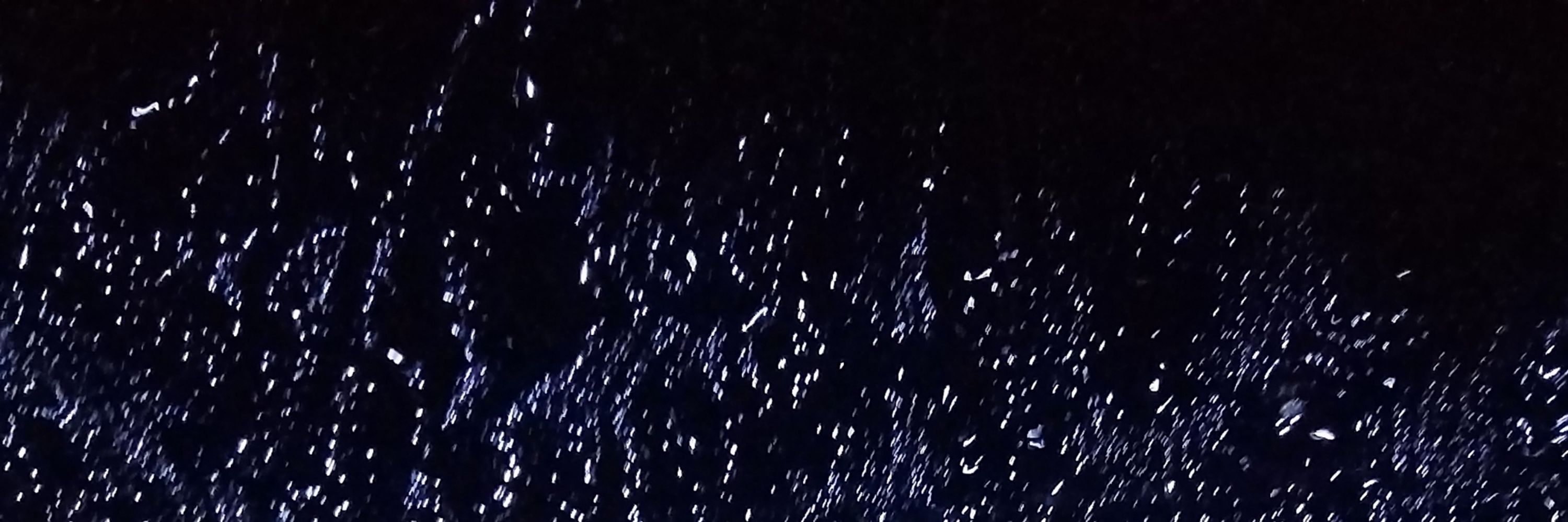 바다토끼