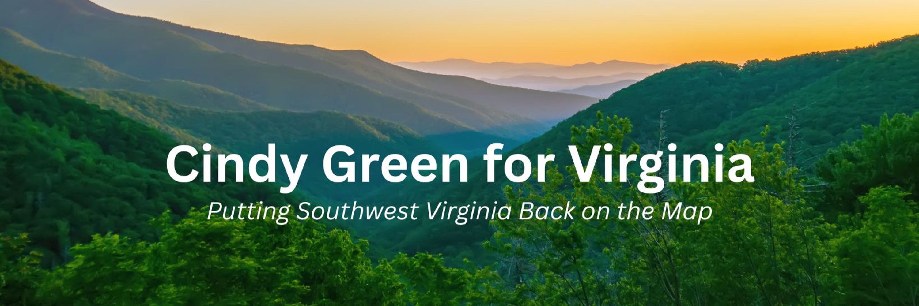 Cindy Green for VA House District 44