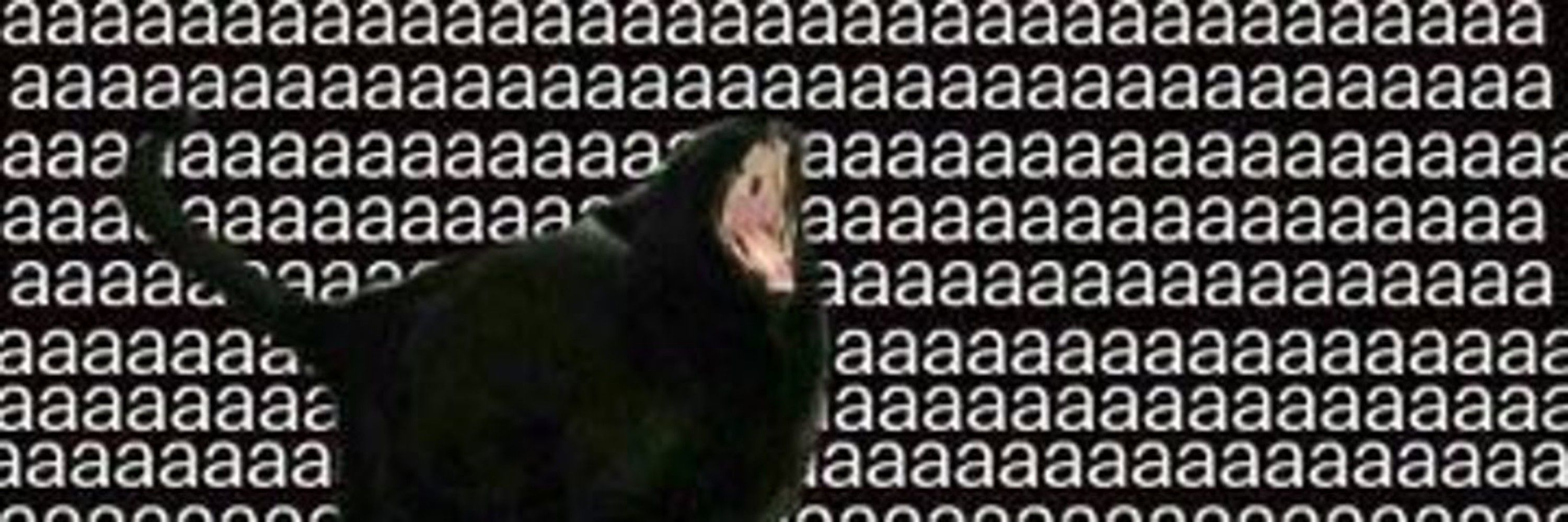 Um doido da vida
