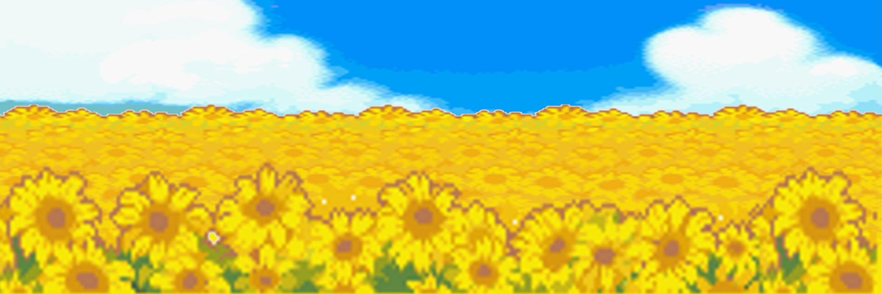 🌻