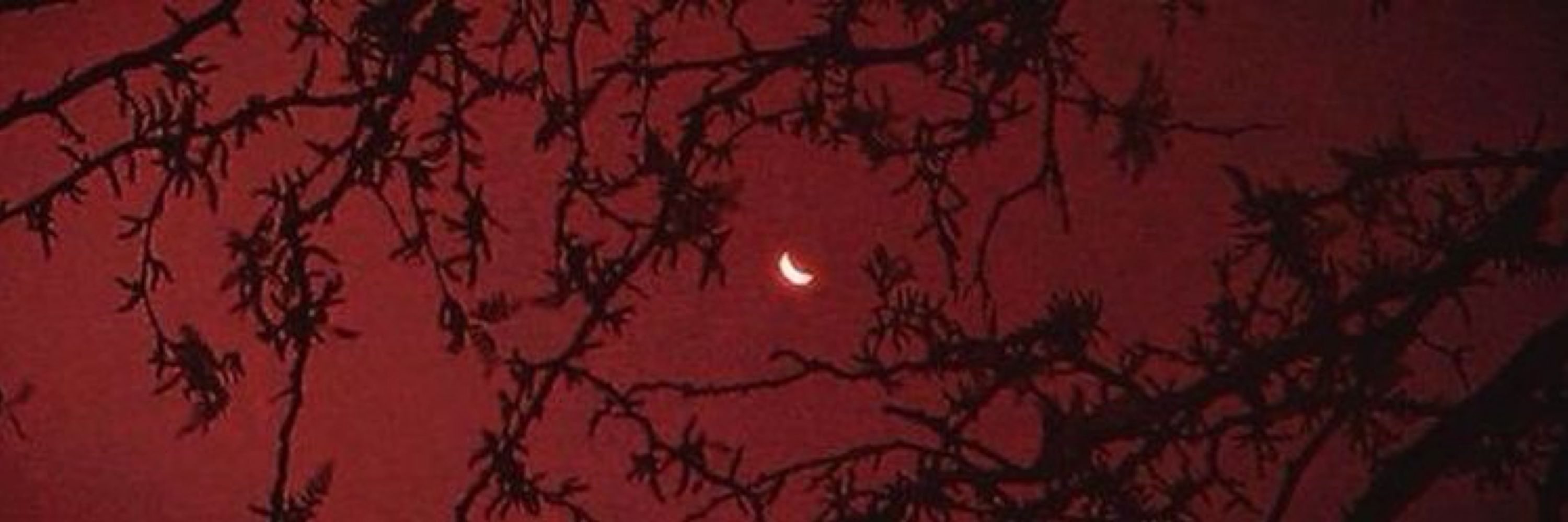 🦇 k.m. gallagher | author 🦇
