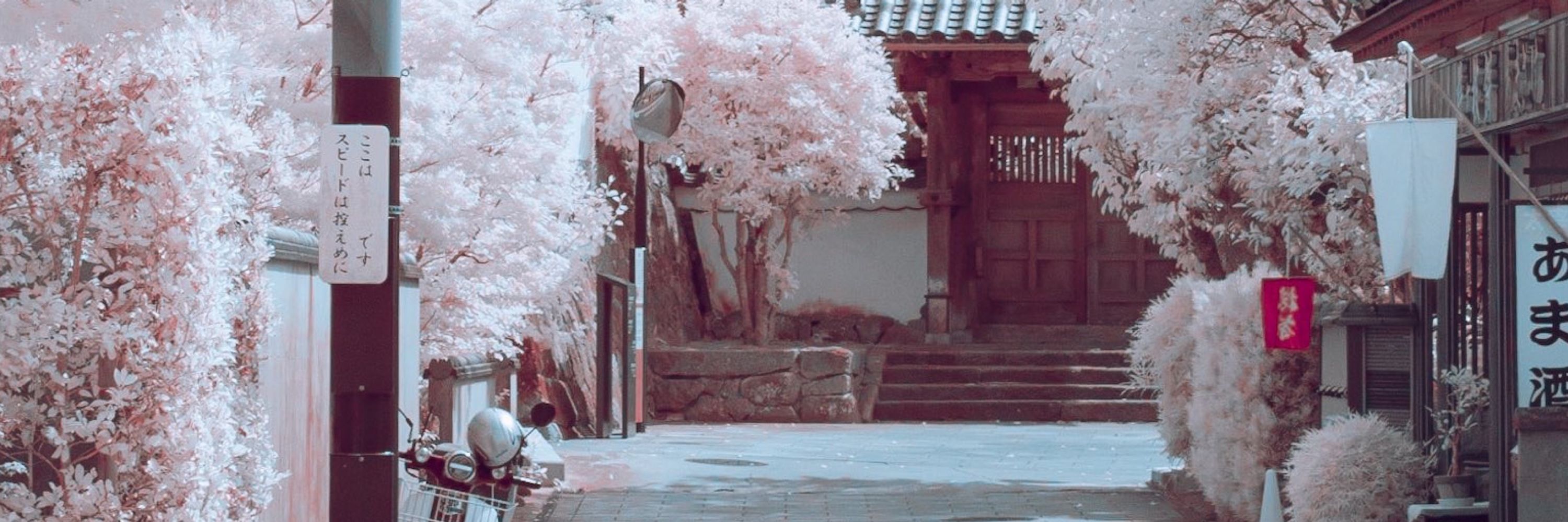 森