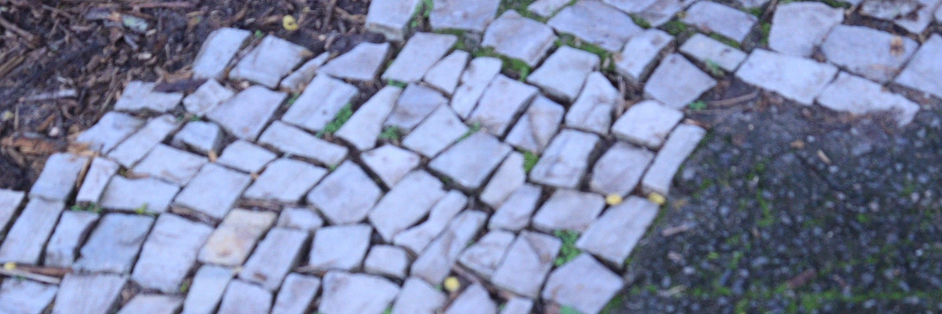 gostinho de lilas