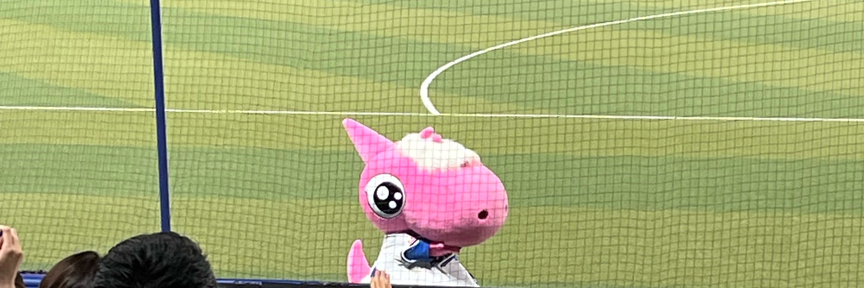 うろごろー⚾️