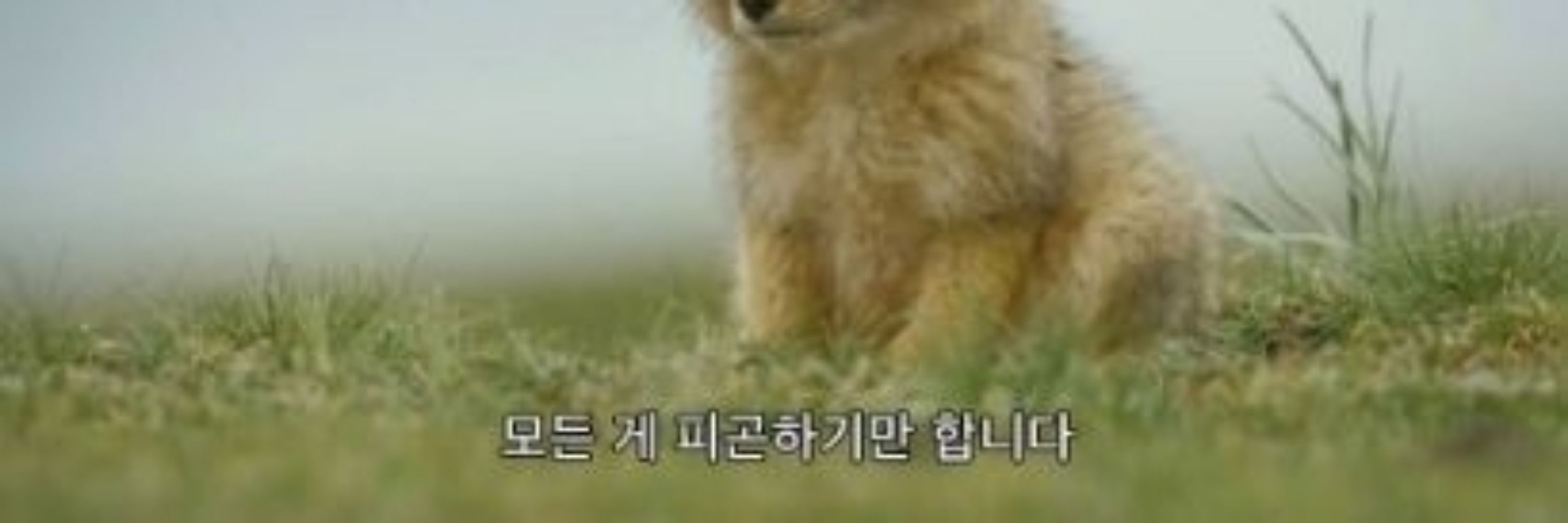 🎋정율正律