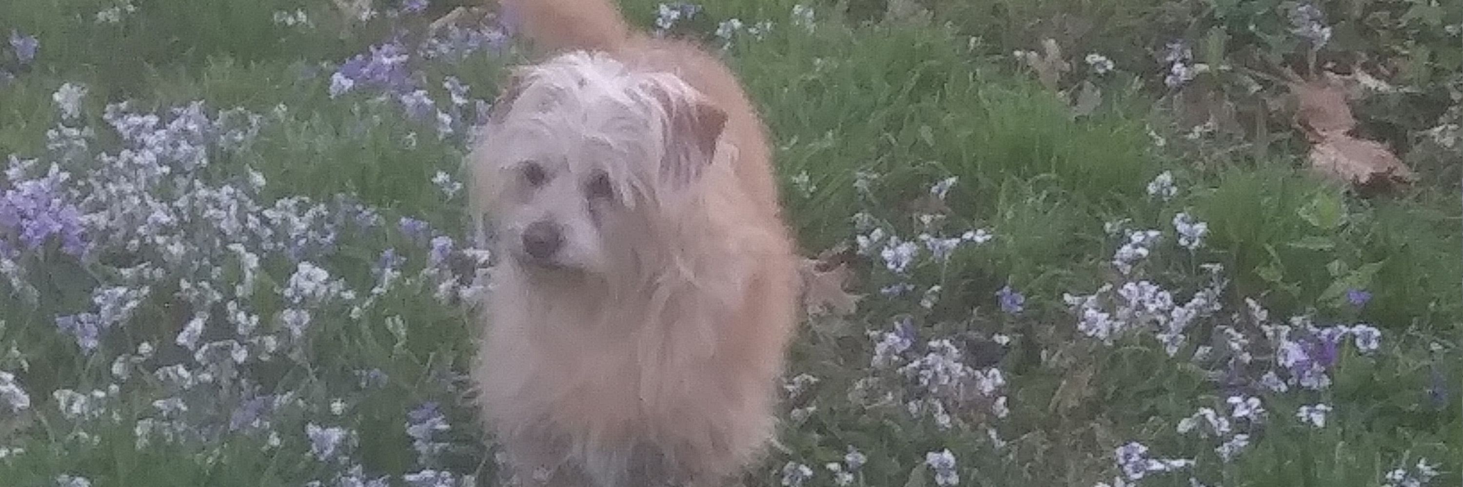 Zeke da Floof's mom