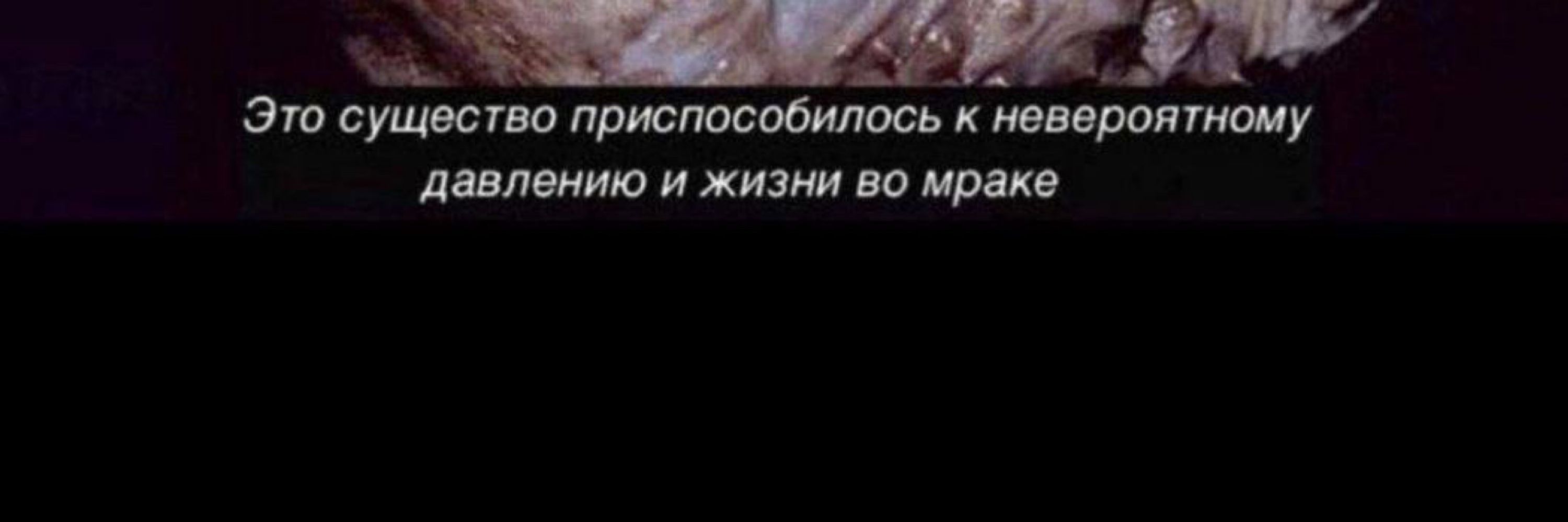 Лега