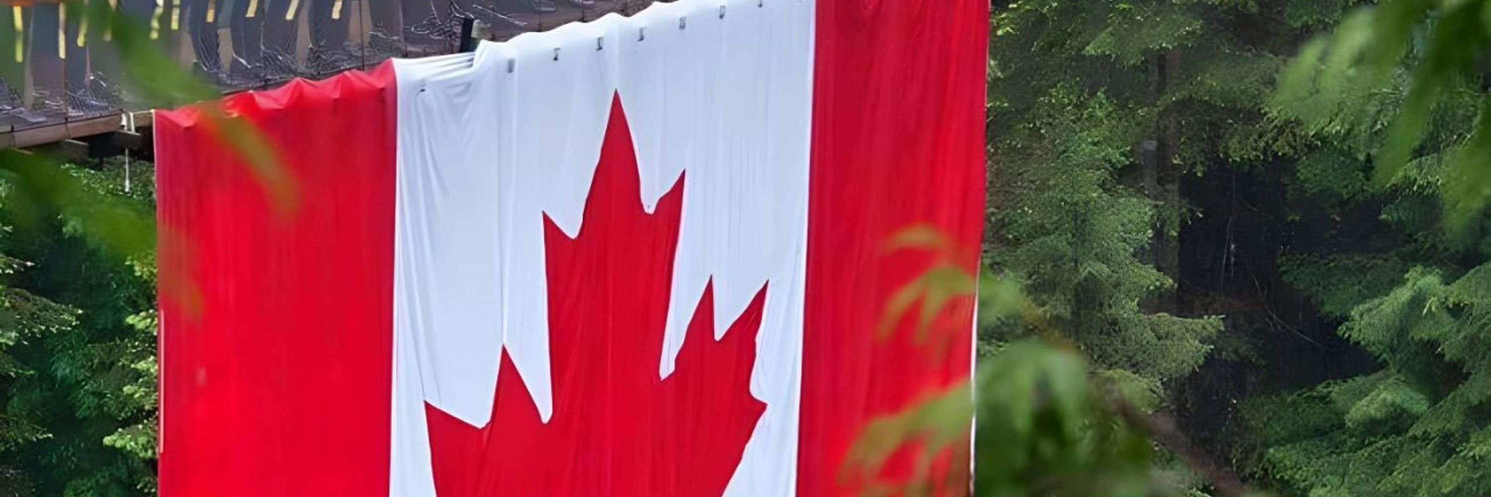 🍁Tamara B 🇨🇦 🍁 📎