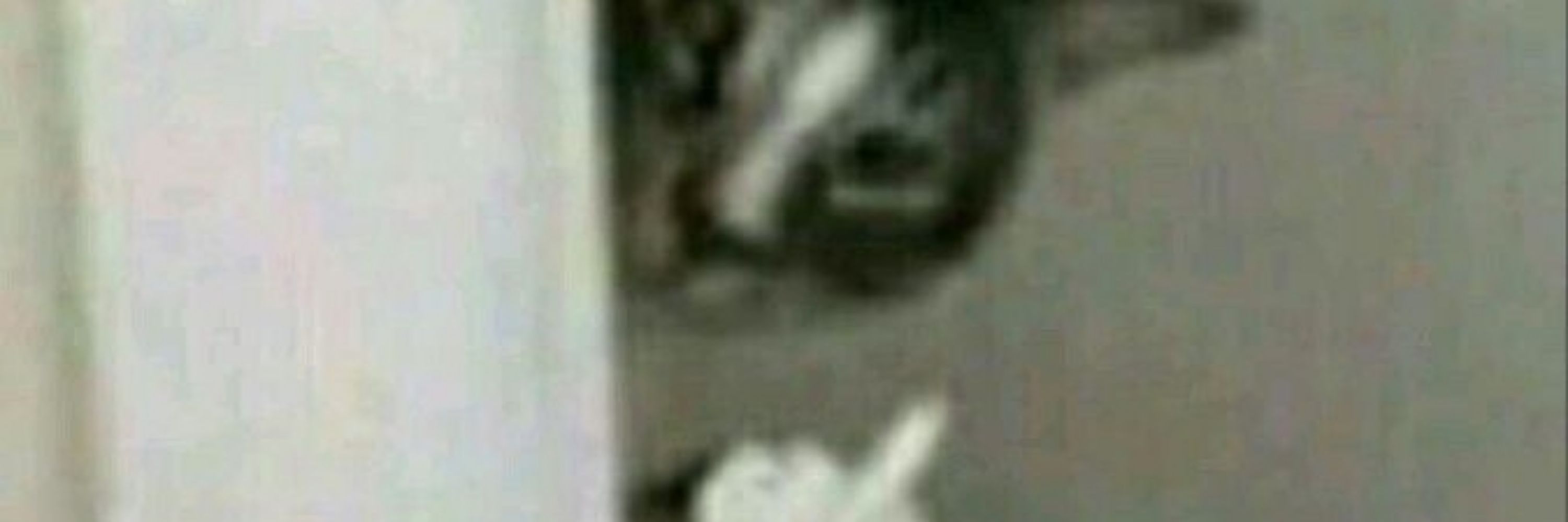 Oiiiii