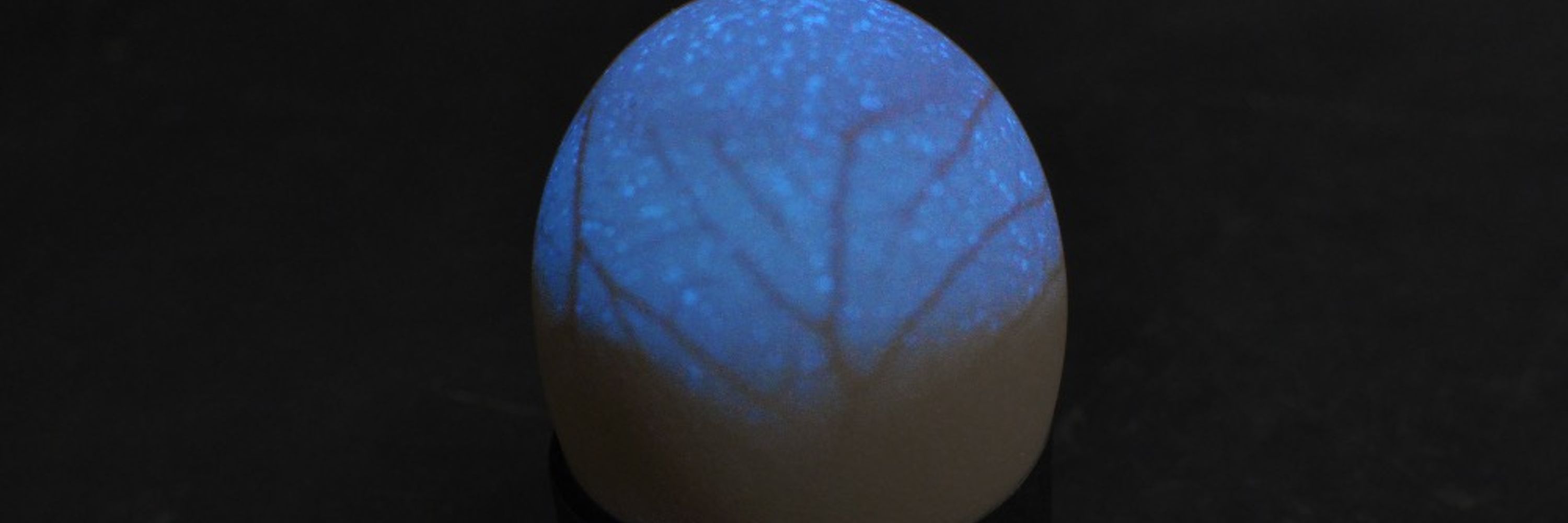 Mehle Lab