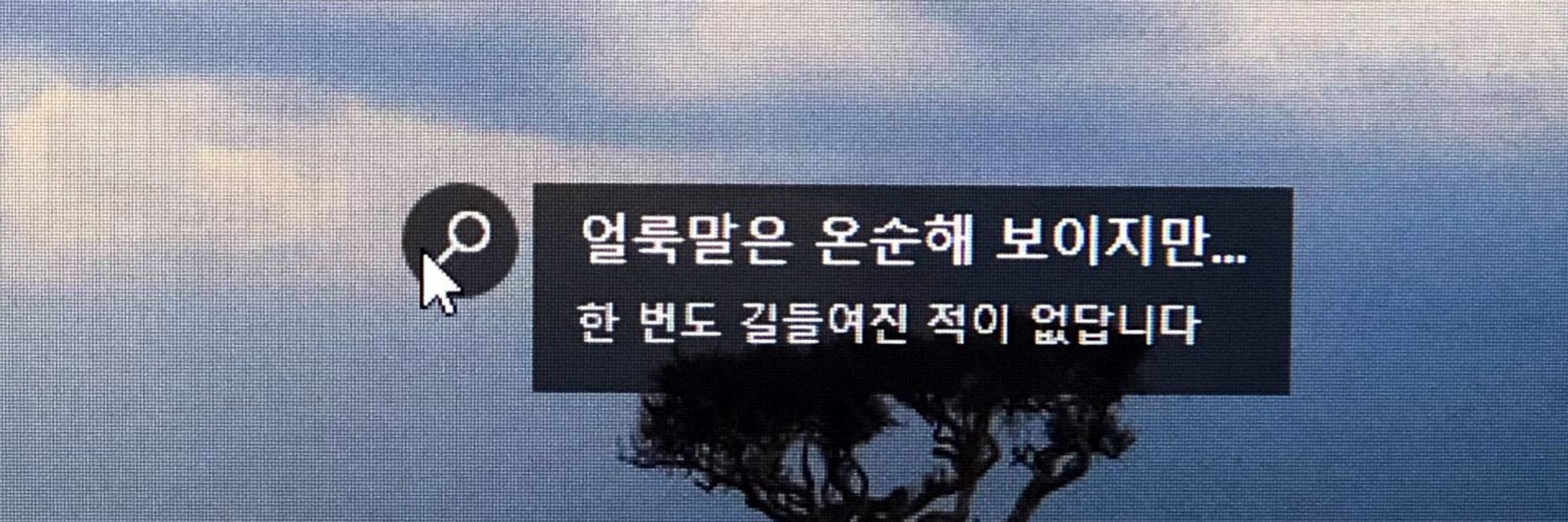 얼룩말 알렉스