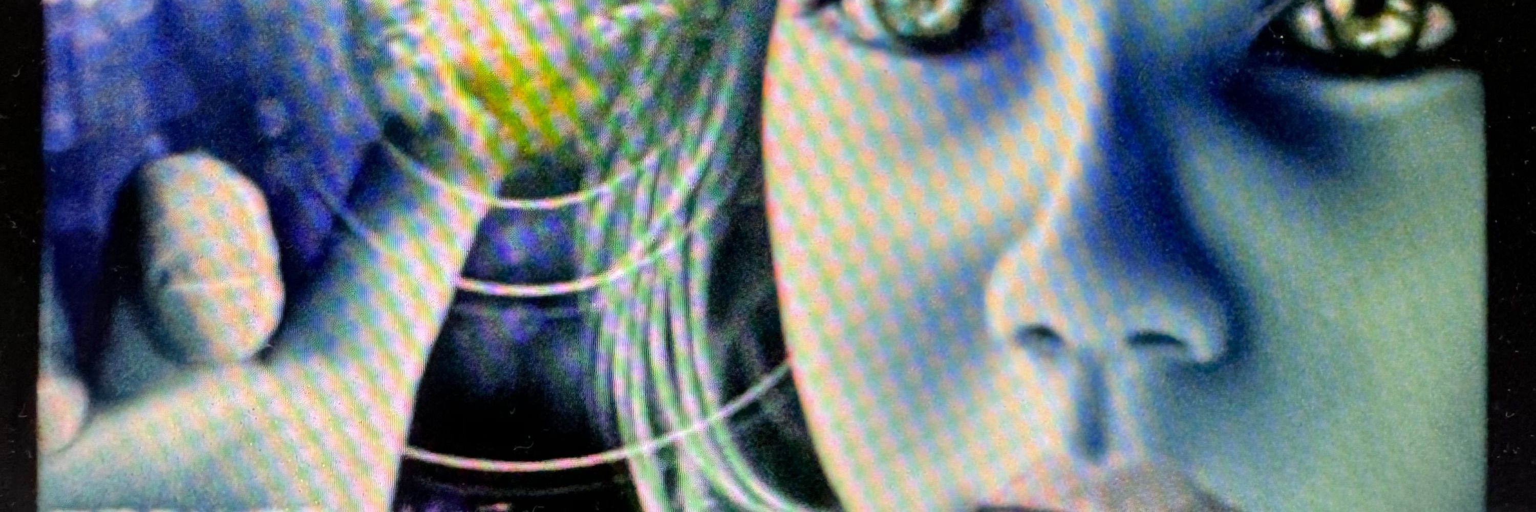 Teri